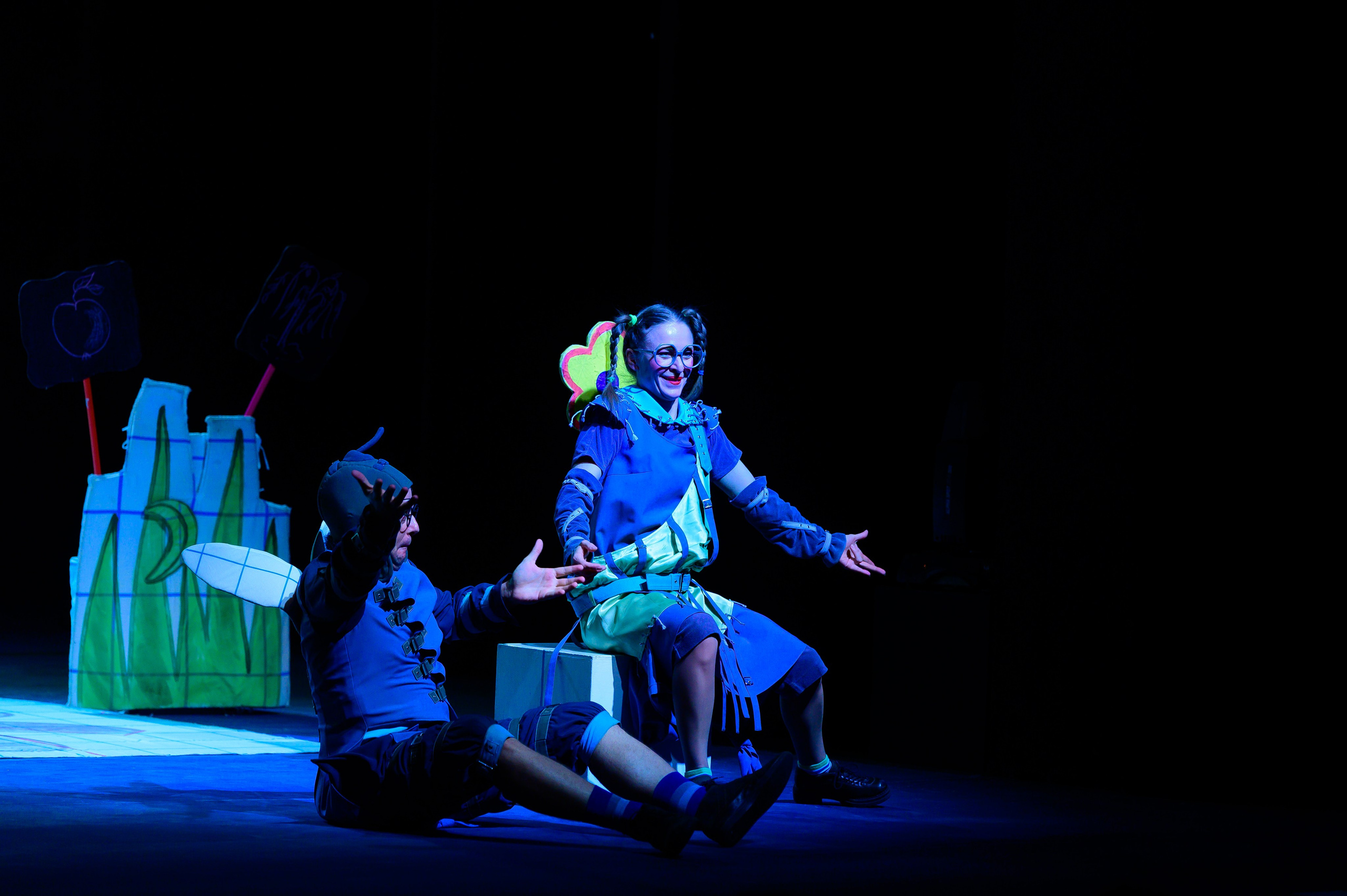 Муха Цокотуха. Фотоуслуги, услуги фотографа, фотографирование важных событий