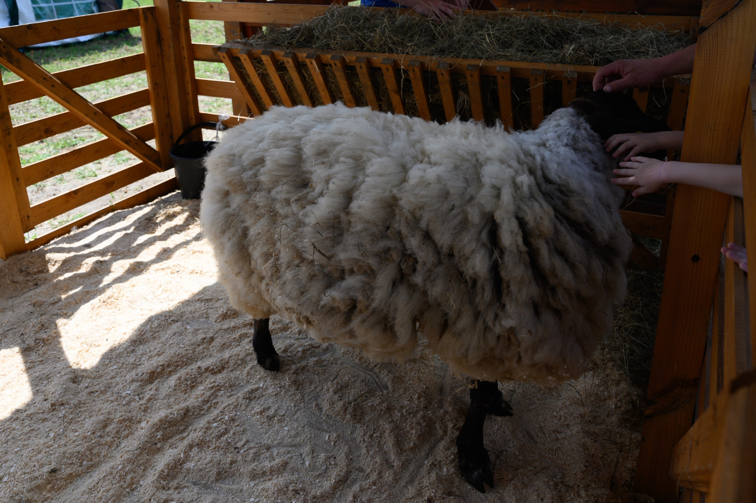 Агровыставка. Фотоуслуги, услуги фотографа, фотографирование важных событий