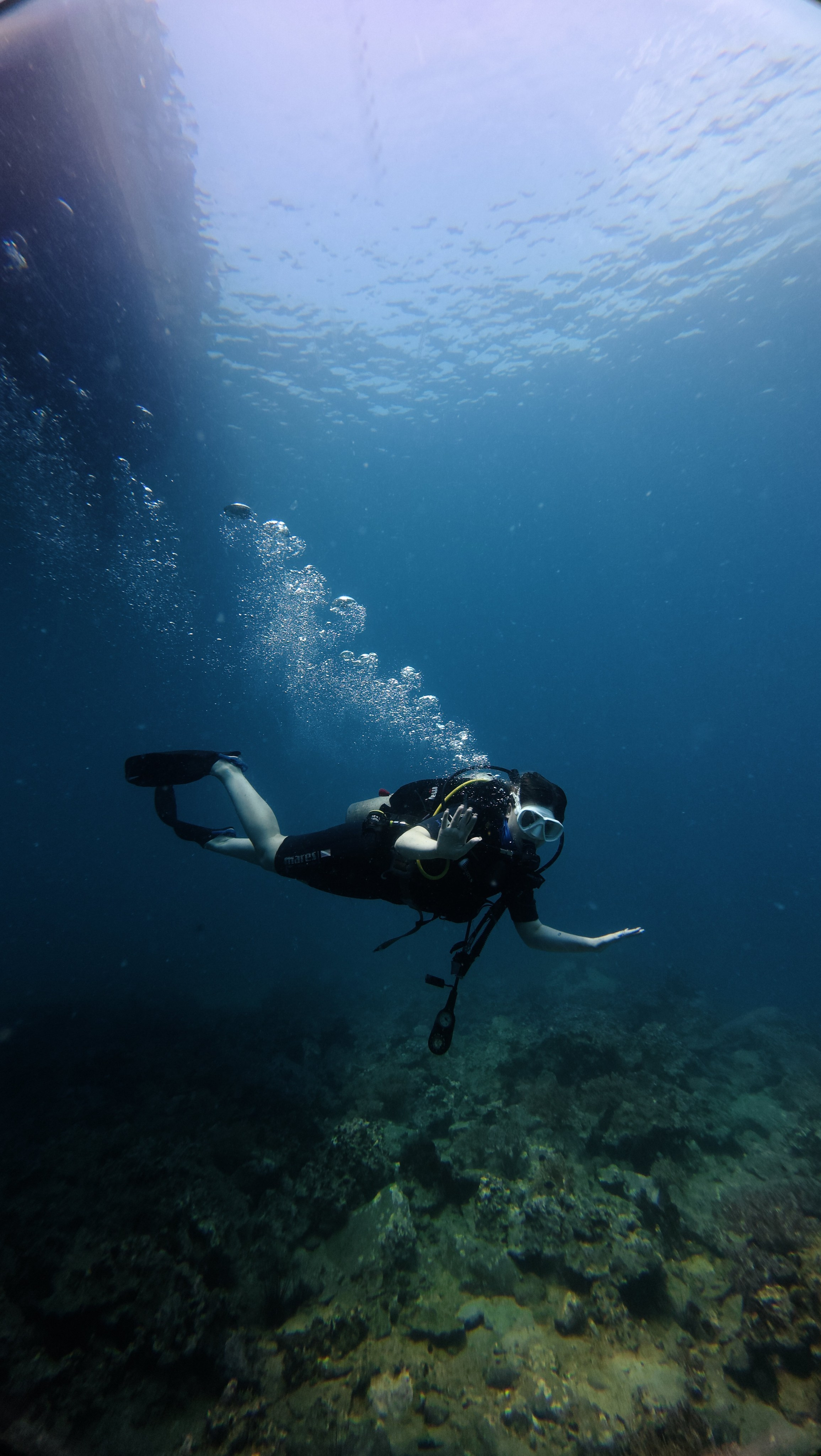 Галерея. Дайвинг во Вьетнаме