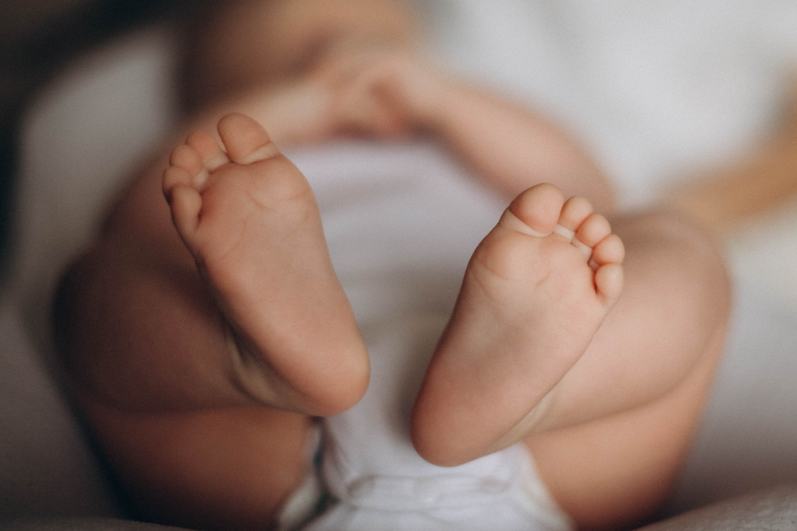 Фёдор. Семейная фотография в Санкт-Петербурге Елизавета Шепель