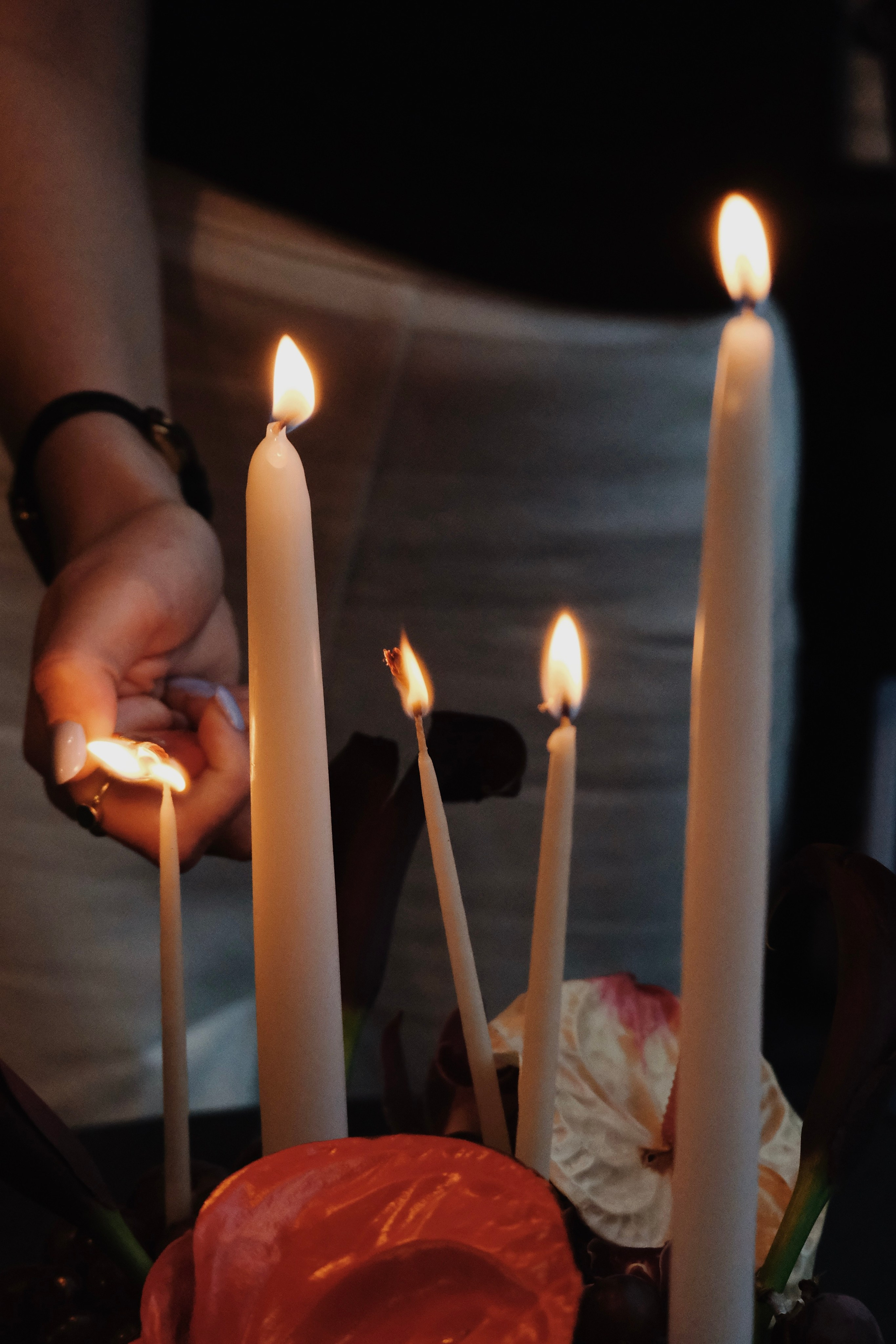 Винотека. Татьян гертье