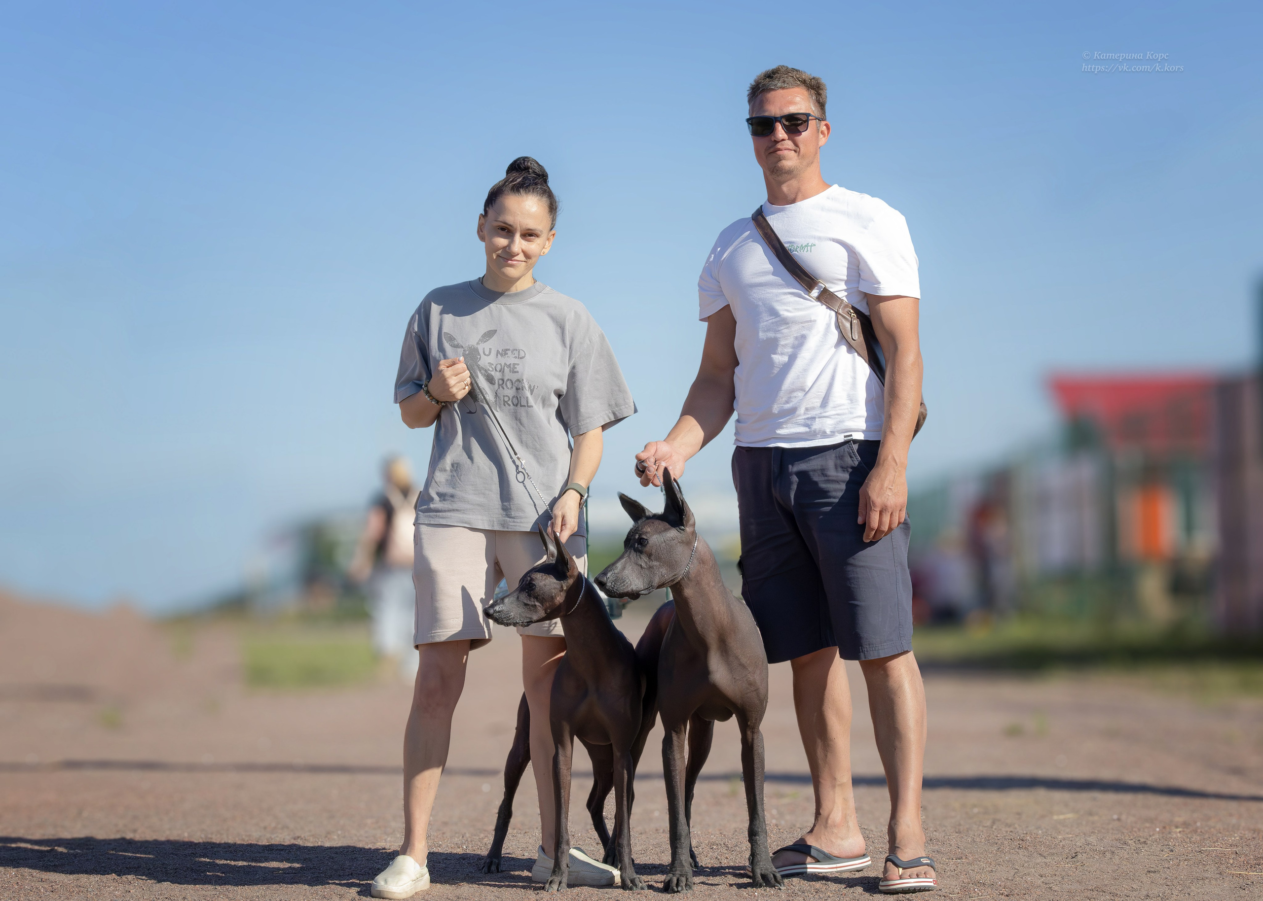 Собаки и люди. Главная