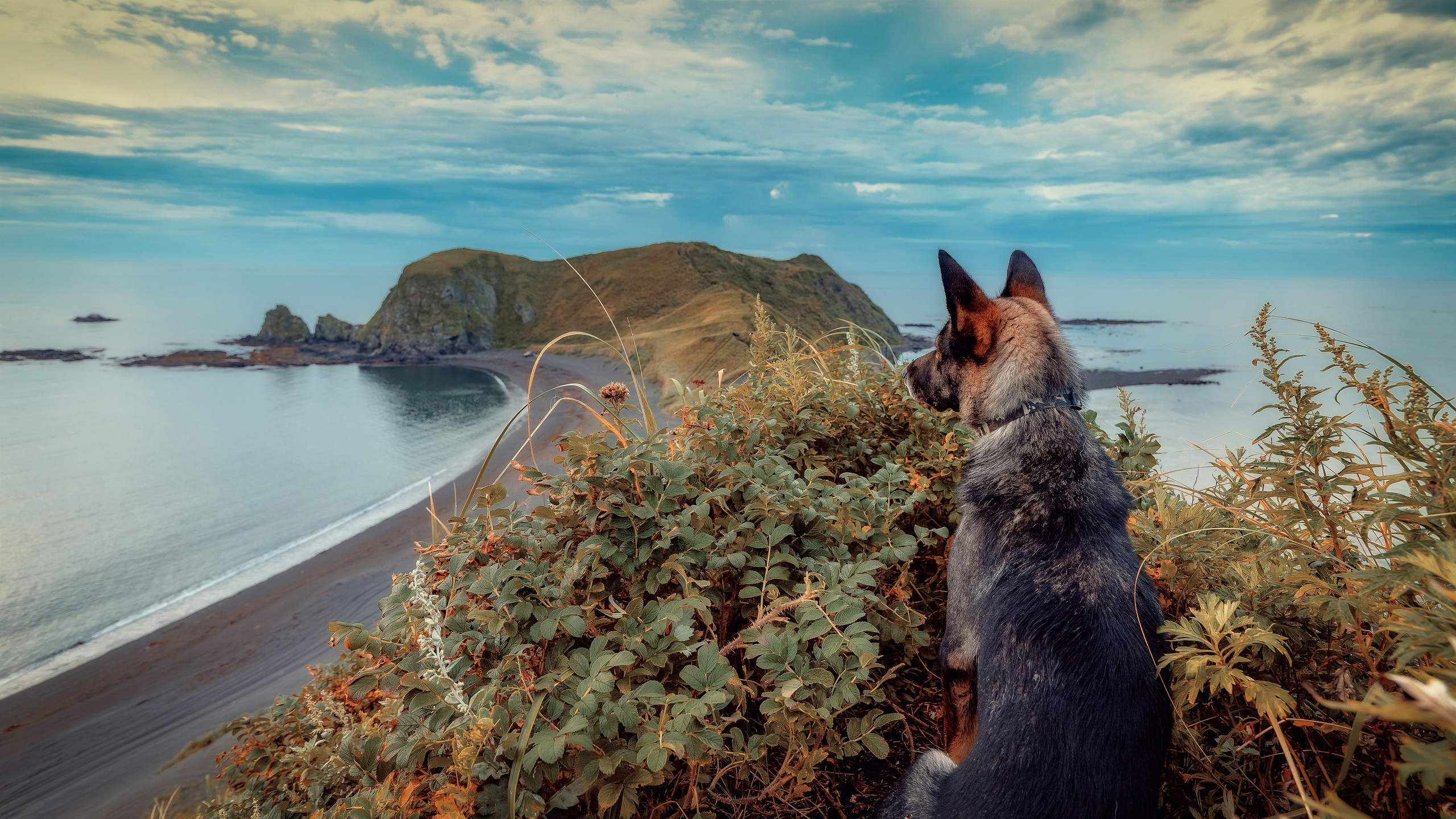 О.Сахалин. Фотограф. г. Южно-Сахалинск. Олег Толстов