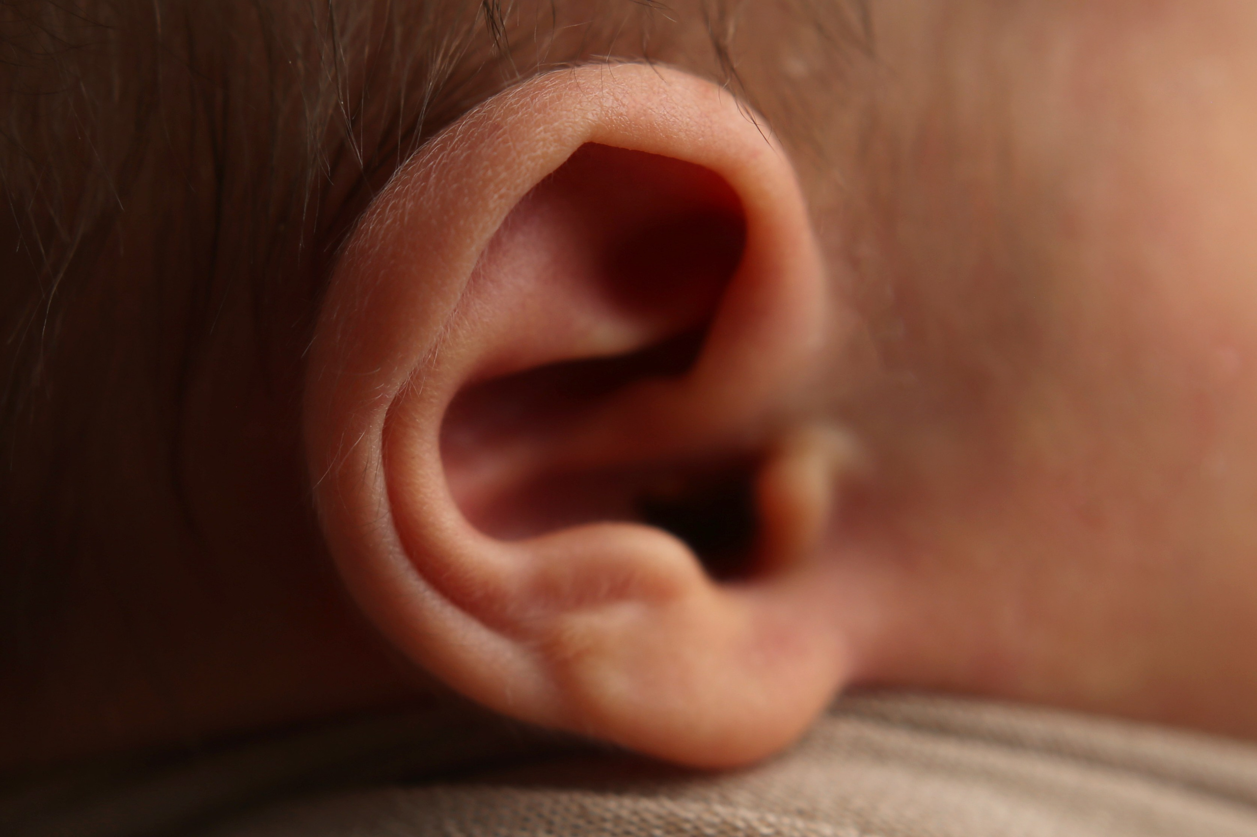 Александр (новорожденные). Главная