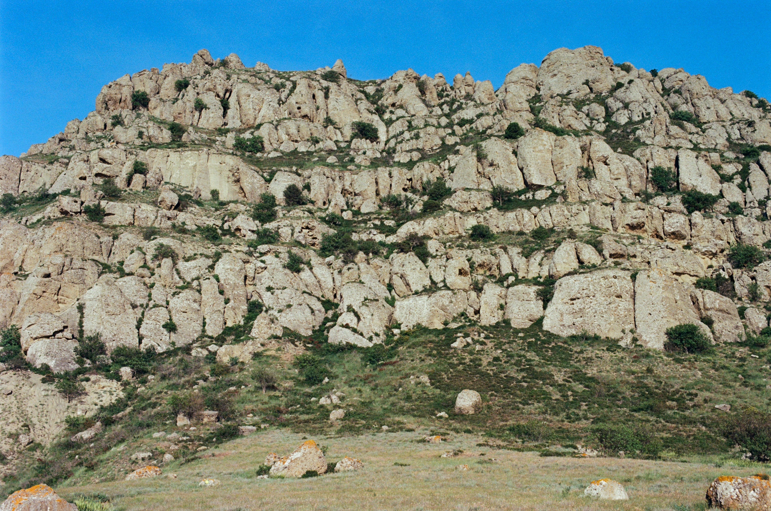 Kool-aid // ukraine, crimea V. EVER EXPOSED