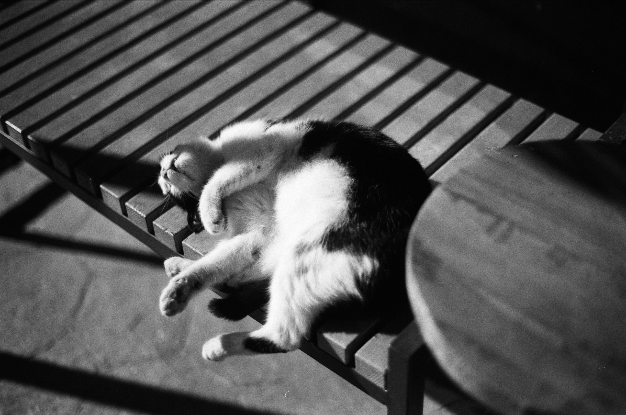 Complicated // turkey, istanbul IV. EVER EXPOSED