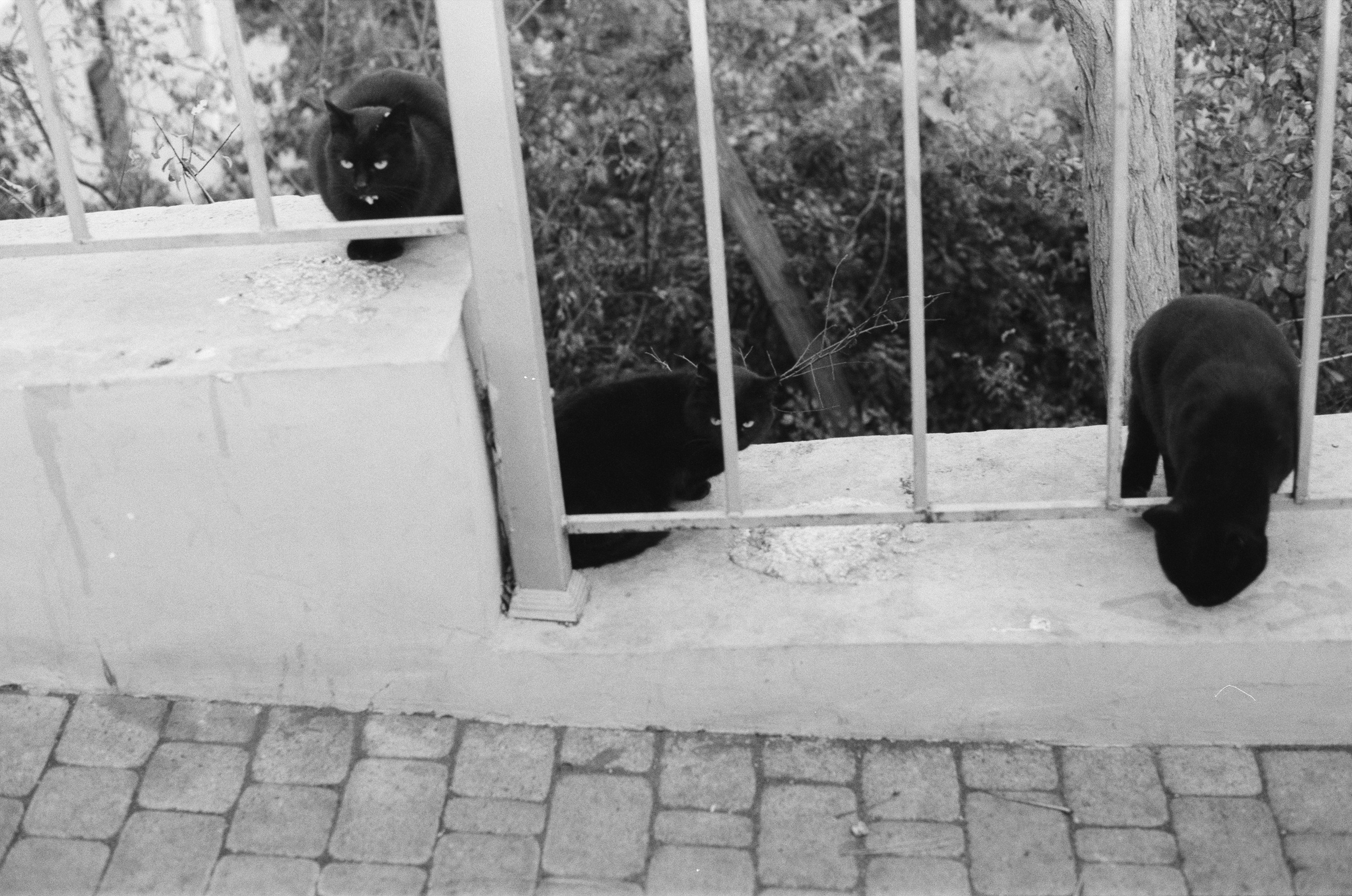 I o u // ukraine, crimea II. EVER EXPOSED