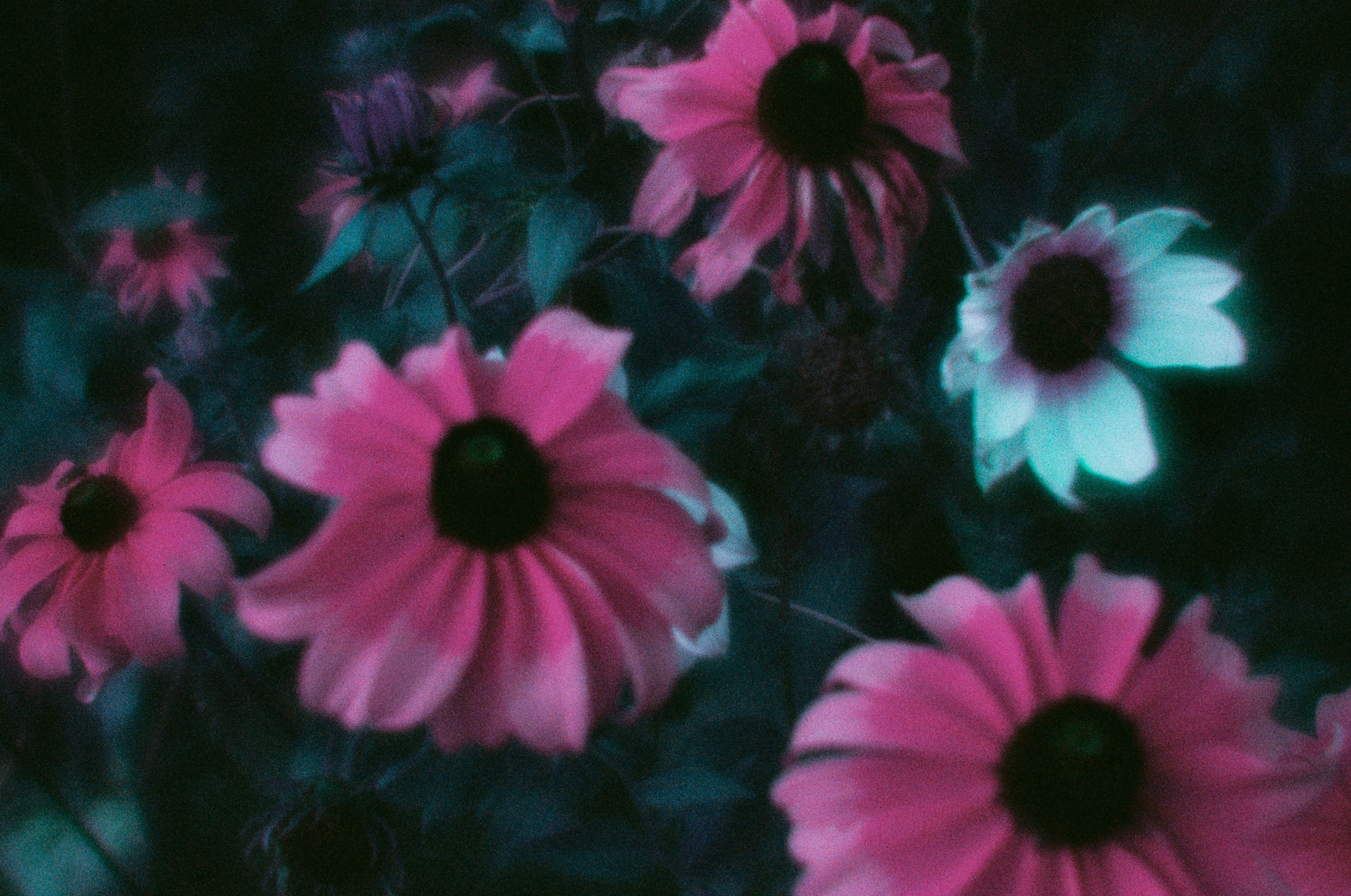 Everything i could never say to you II. EVER EXPOSED