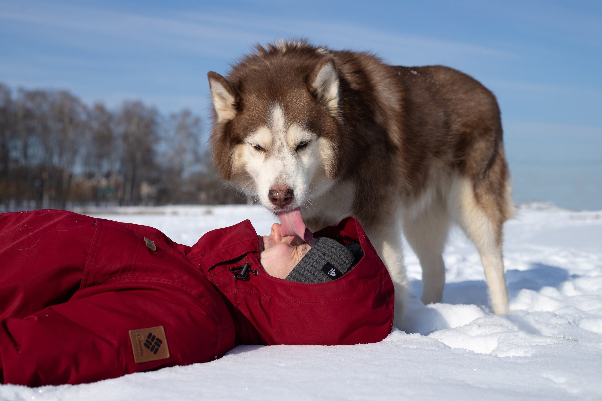 Портфолио. Фотограф-анималист Анна Леонтьева • Москва