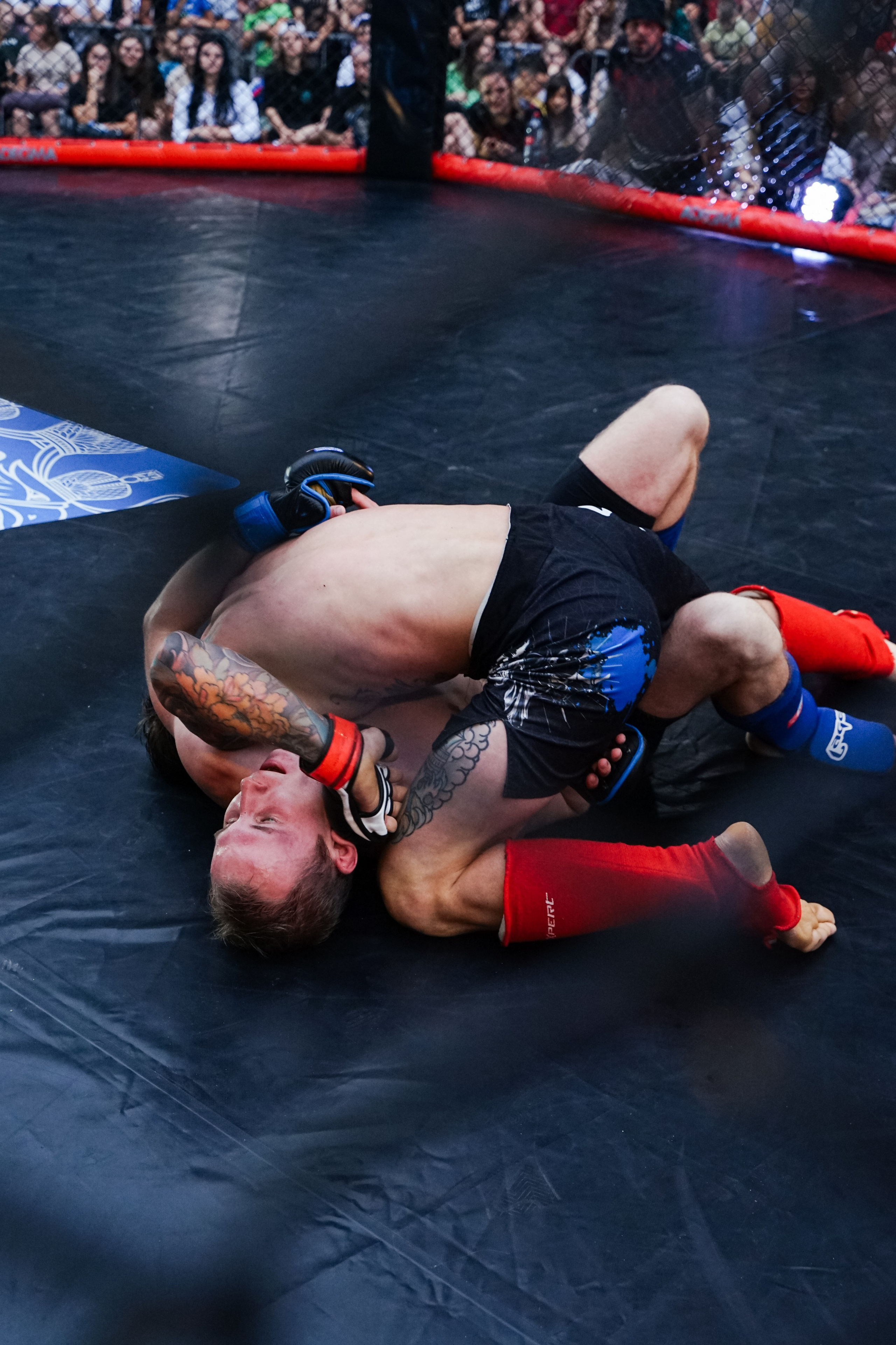 Вечер боев в ЦПКиО. Фотограф Надежда Погребняк | Рязань | Москва