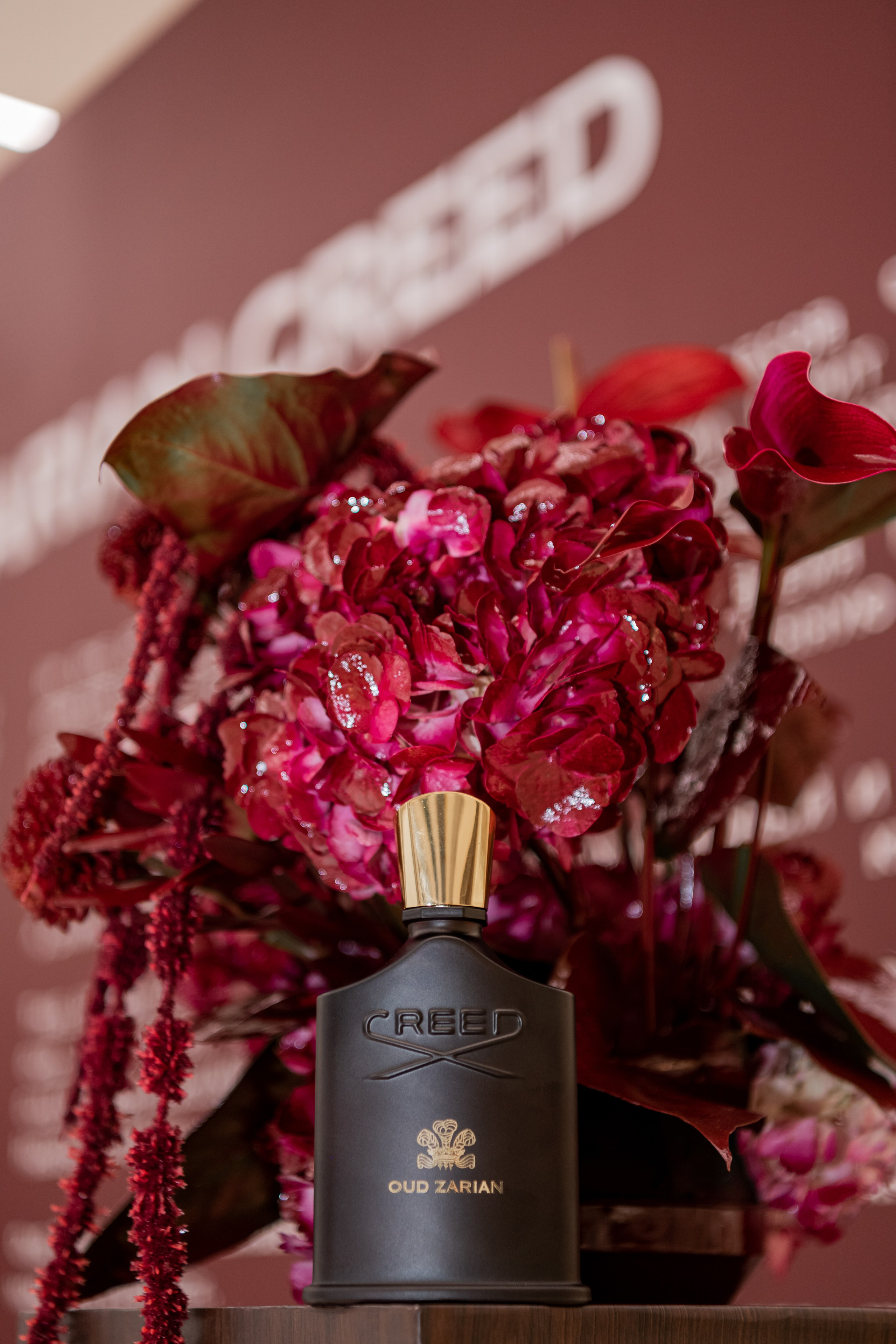 CREED. Фотограф Астана, Алматы