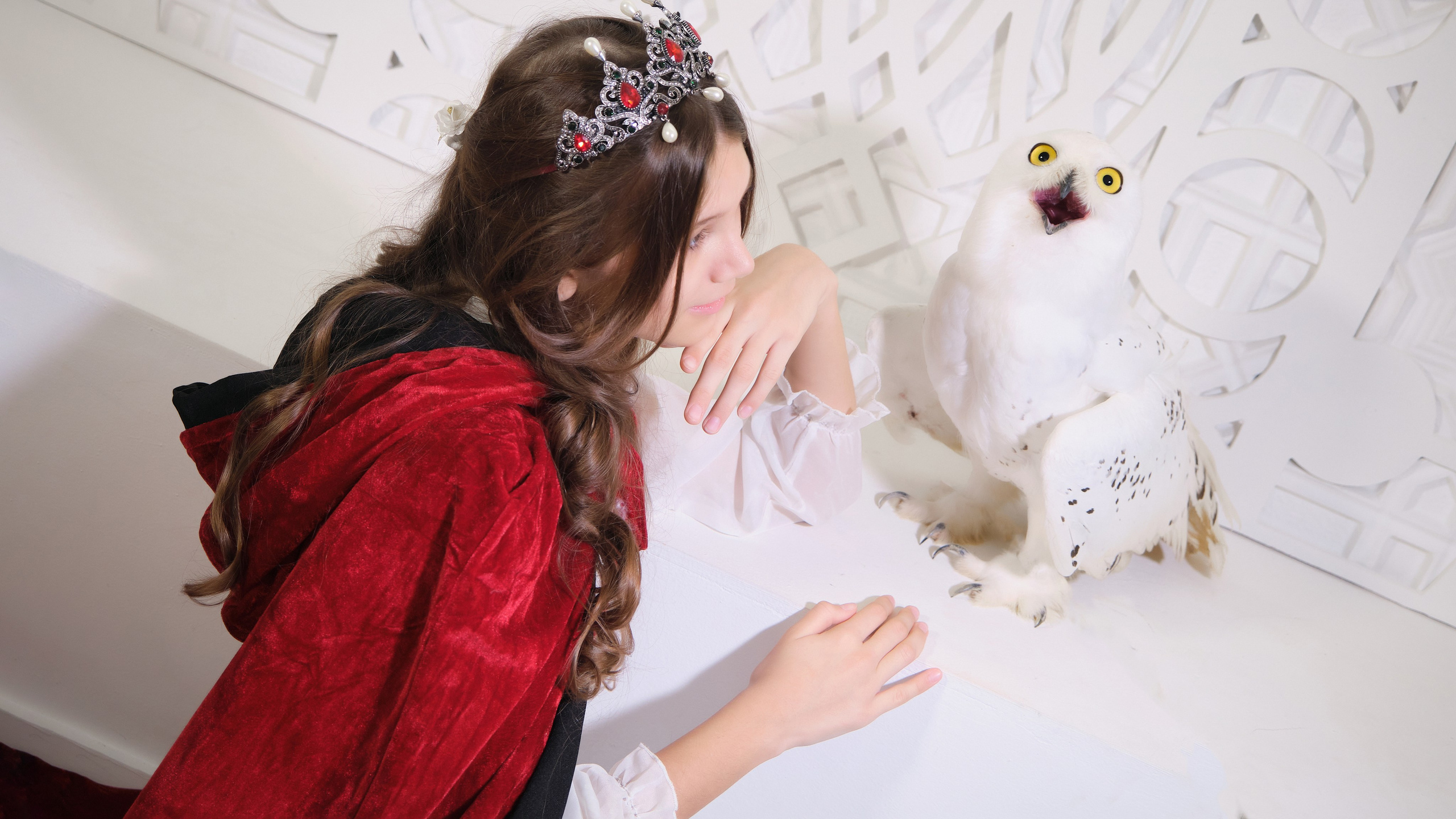 Фотосессия в студии с полярной совой в Москве. Портретный фотограф на новый год в Москве Виктория Колышева