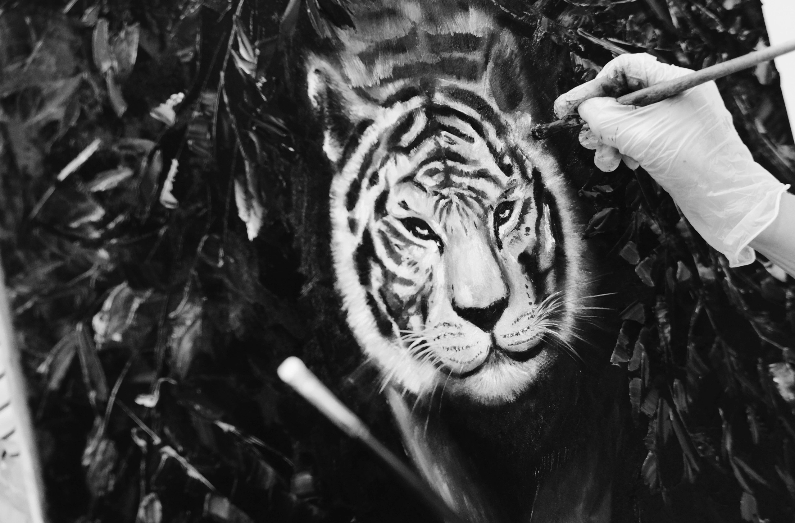 Reportage. Фотохудожник в Карелии и Санкт-Петербурге