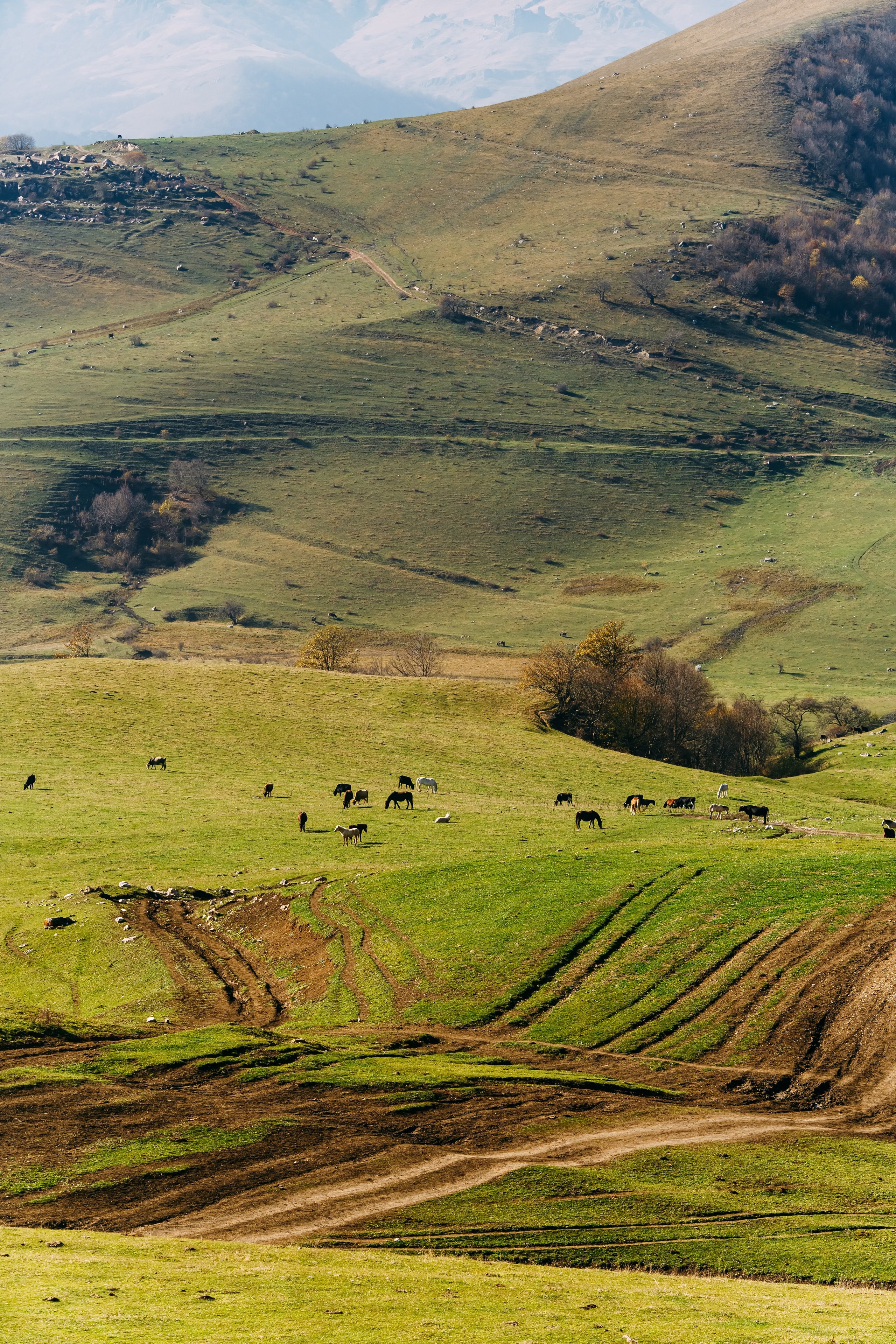 Армения. Фотосъемка, свадебная фотосъемка, Москва, Нижний Новгород
