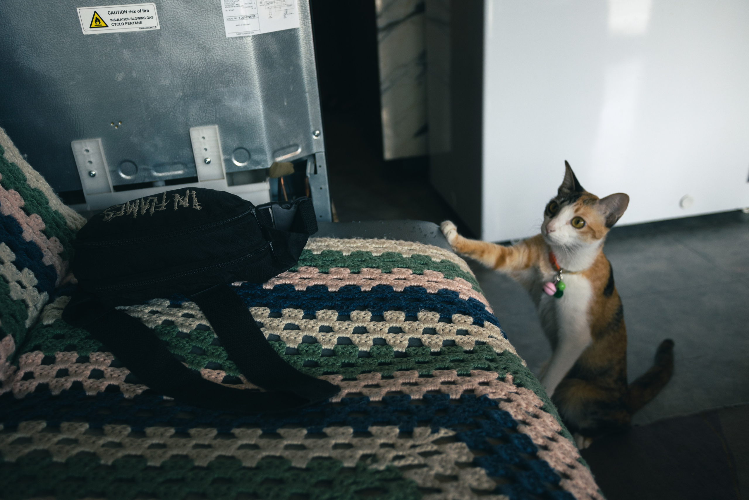 Cazz Cafe. Фотограф Сонкина Татьяна