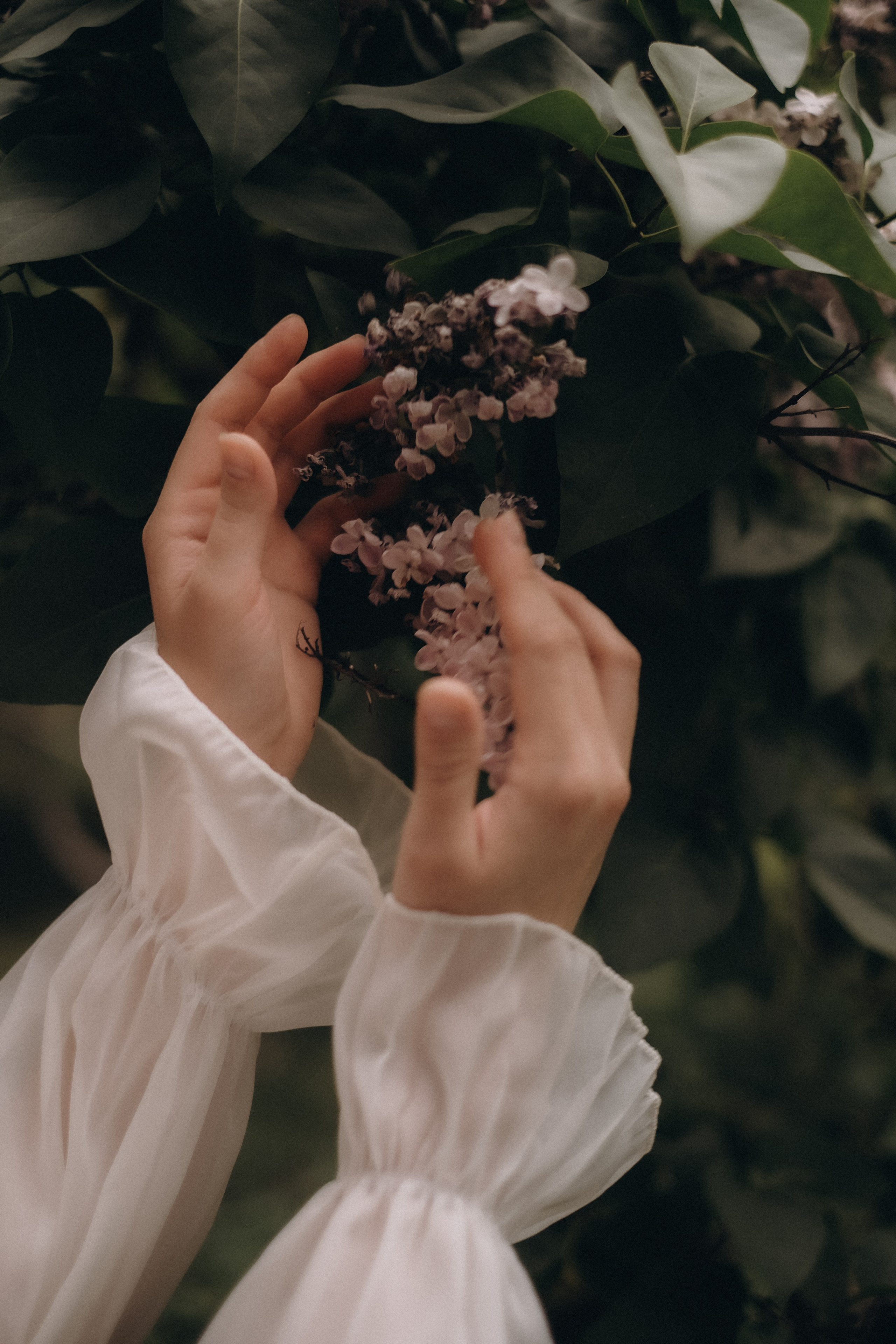 В старинном саду. Свадебный и семейный фотограф в Москве Инника Кетлер