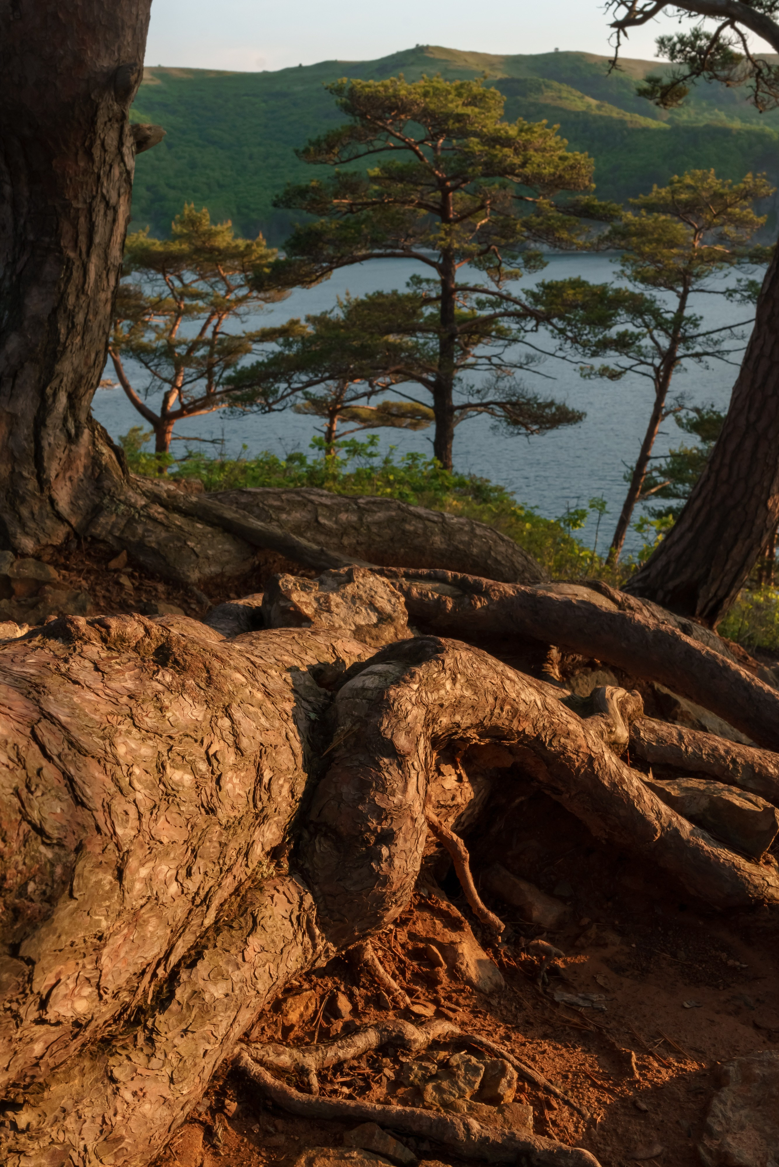 Весеннее Приморье. Май
