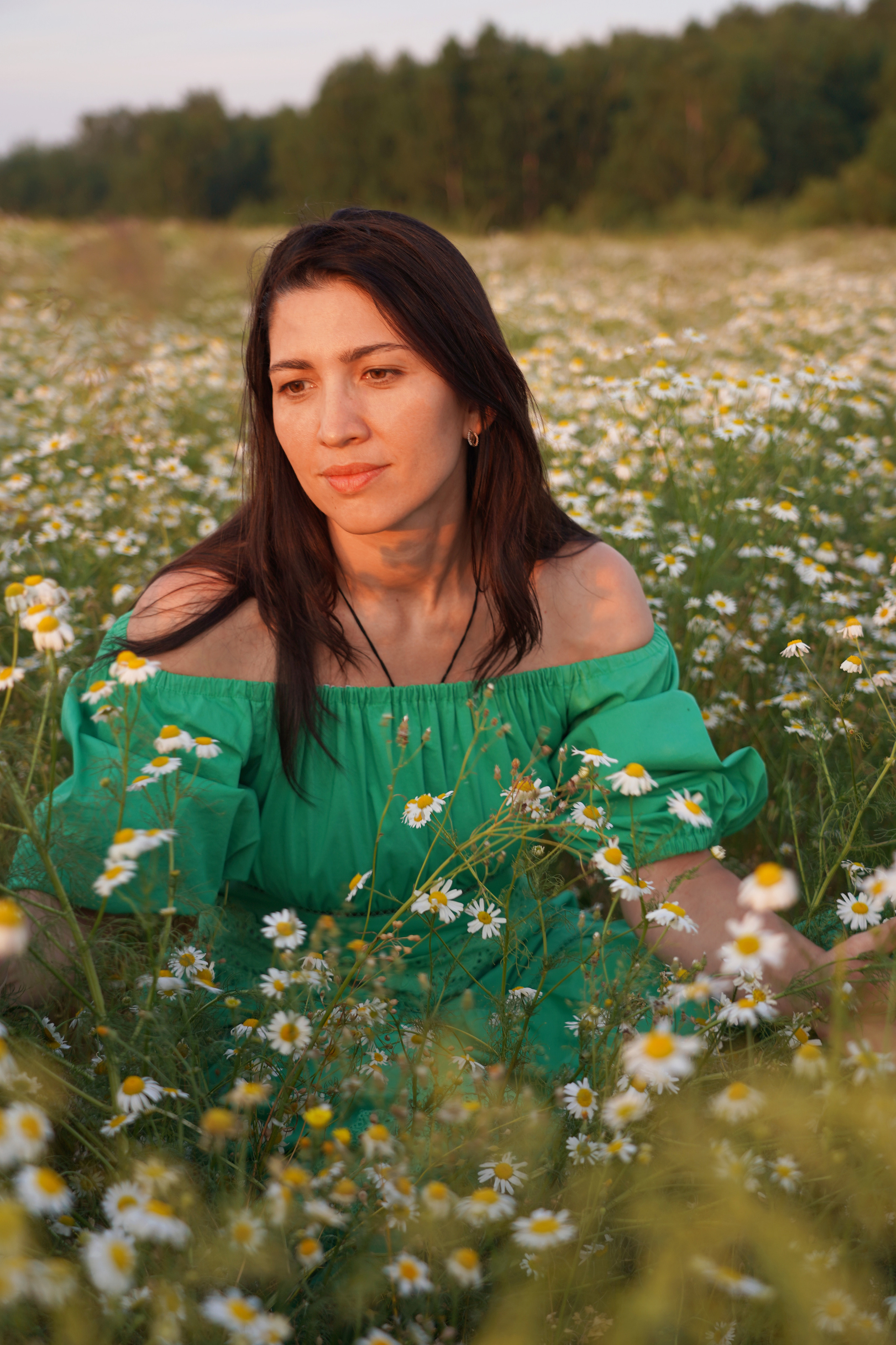 Ромашковое поле для Александры. Моя фотостудия: поле, лес, море и горы… Казань — Москва — Болгария