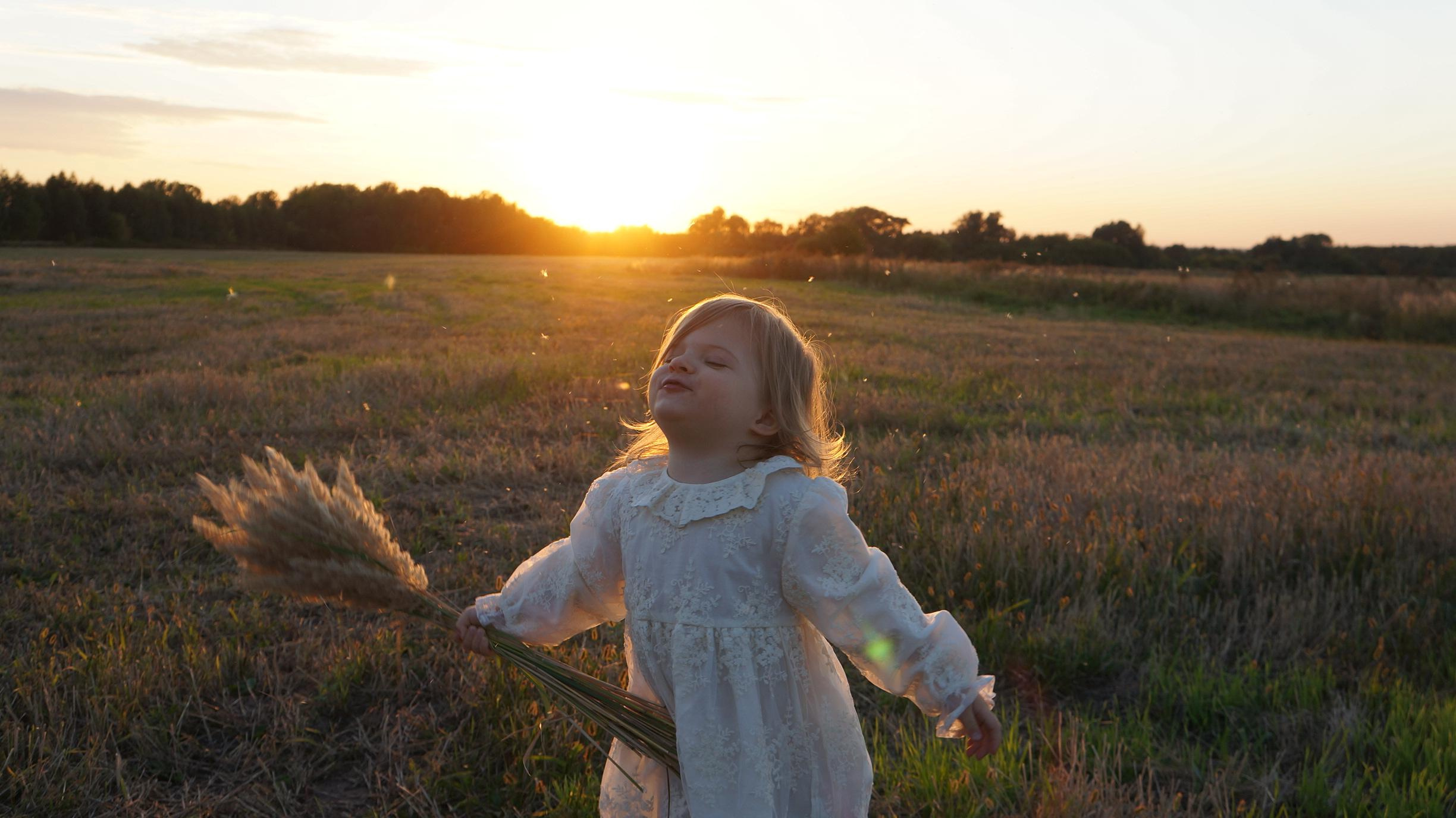 Моя фотостудия: поле, лес, море и горы… Казань — Москва — Болгария