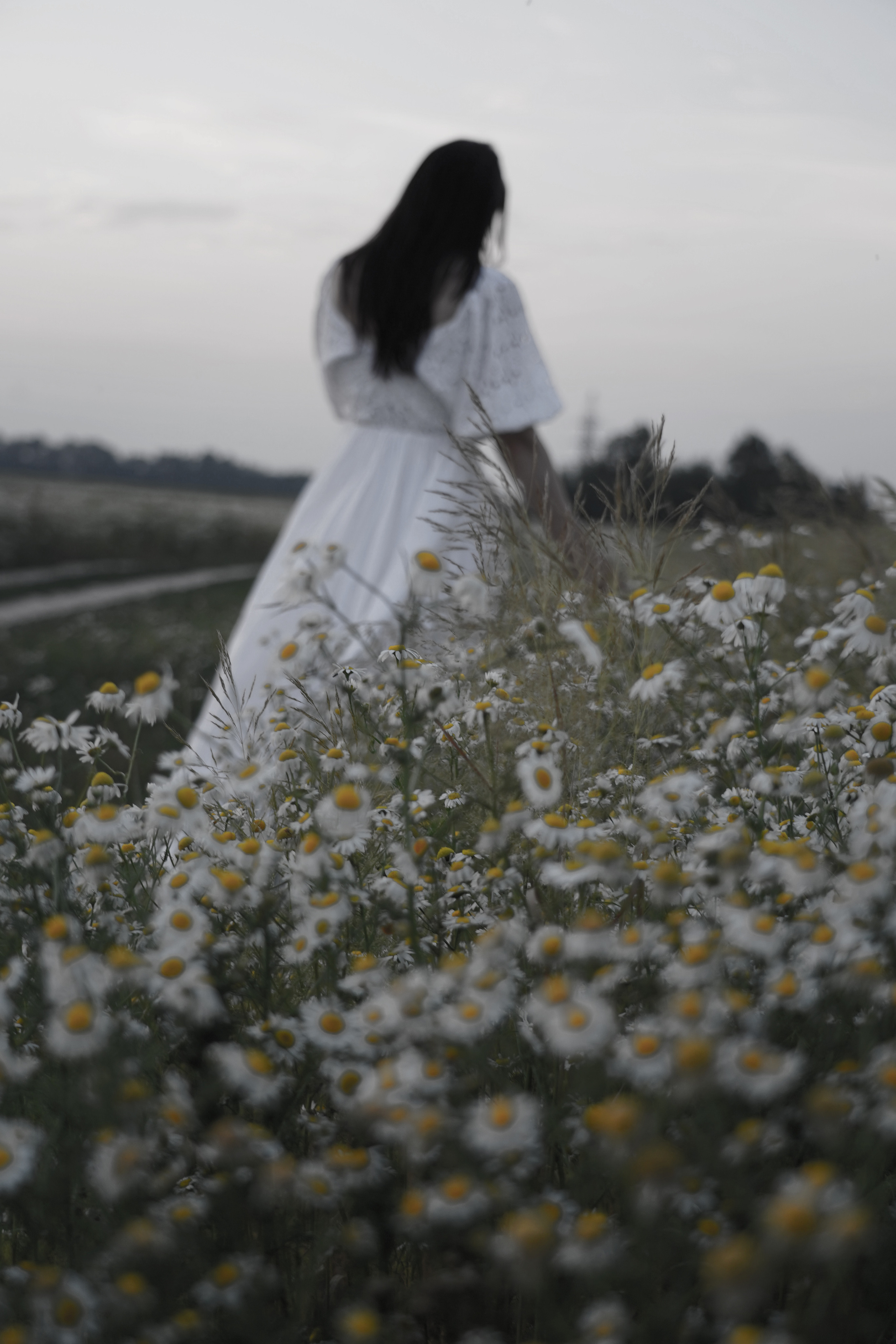 Ромашковое поле для Александры. Моя фотостудия: поле, лес, море и горы… Казань — Москва — Болгария