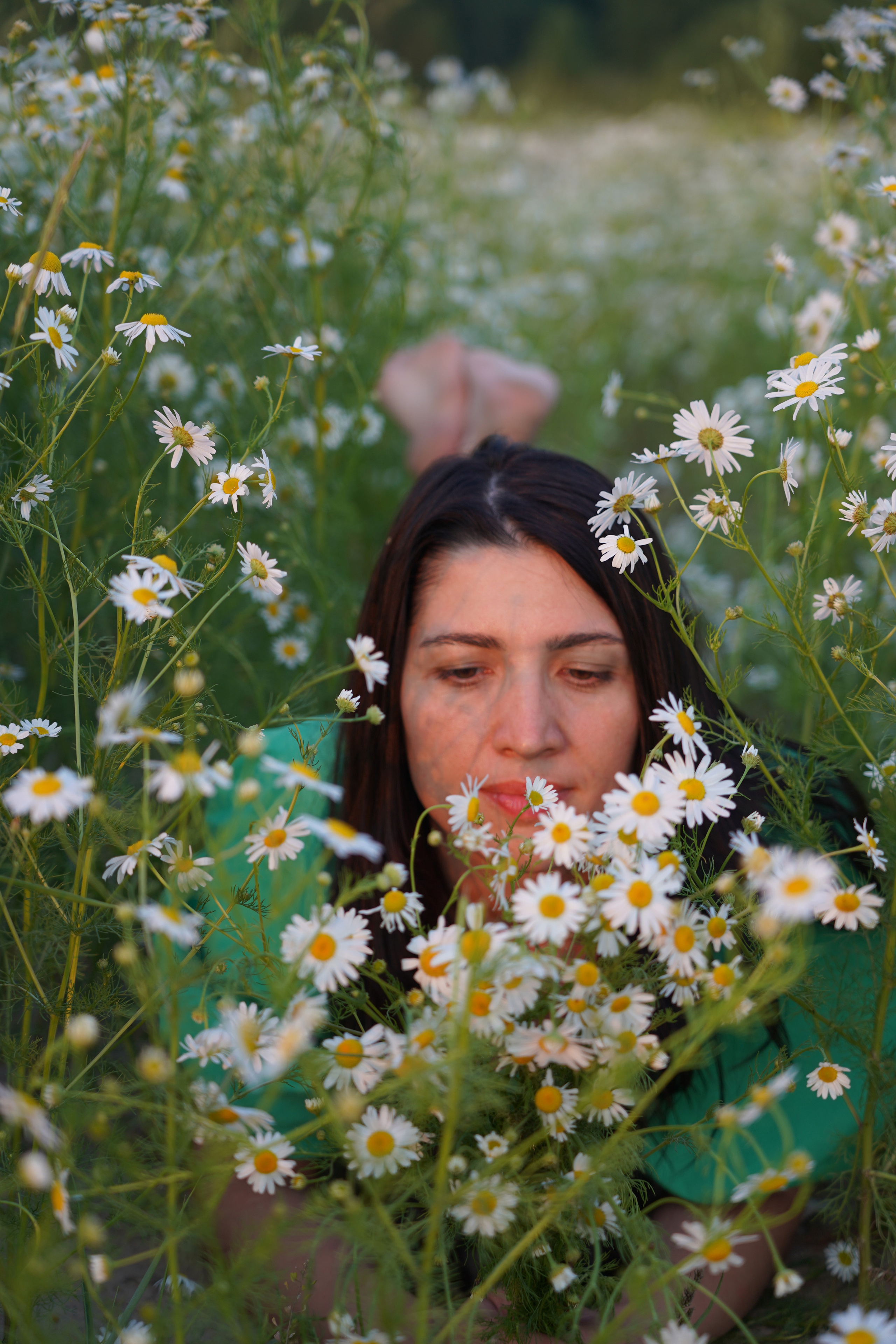 Ромашковое поле для Александры. Моя фотостудия: поле, лес, море и горы… Казань — Москва — Болгария