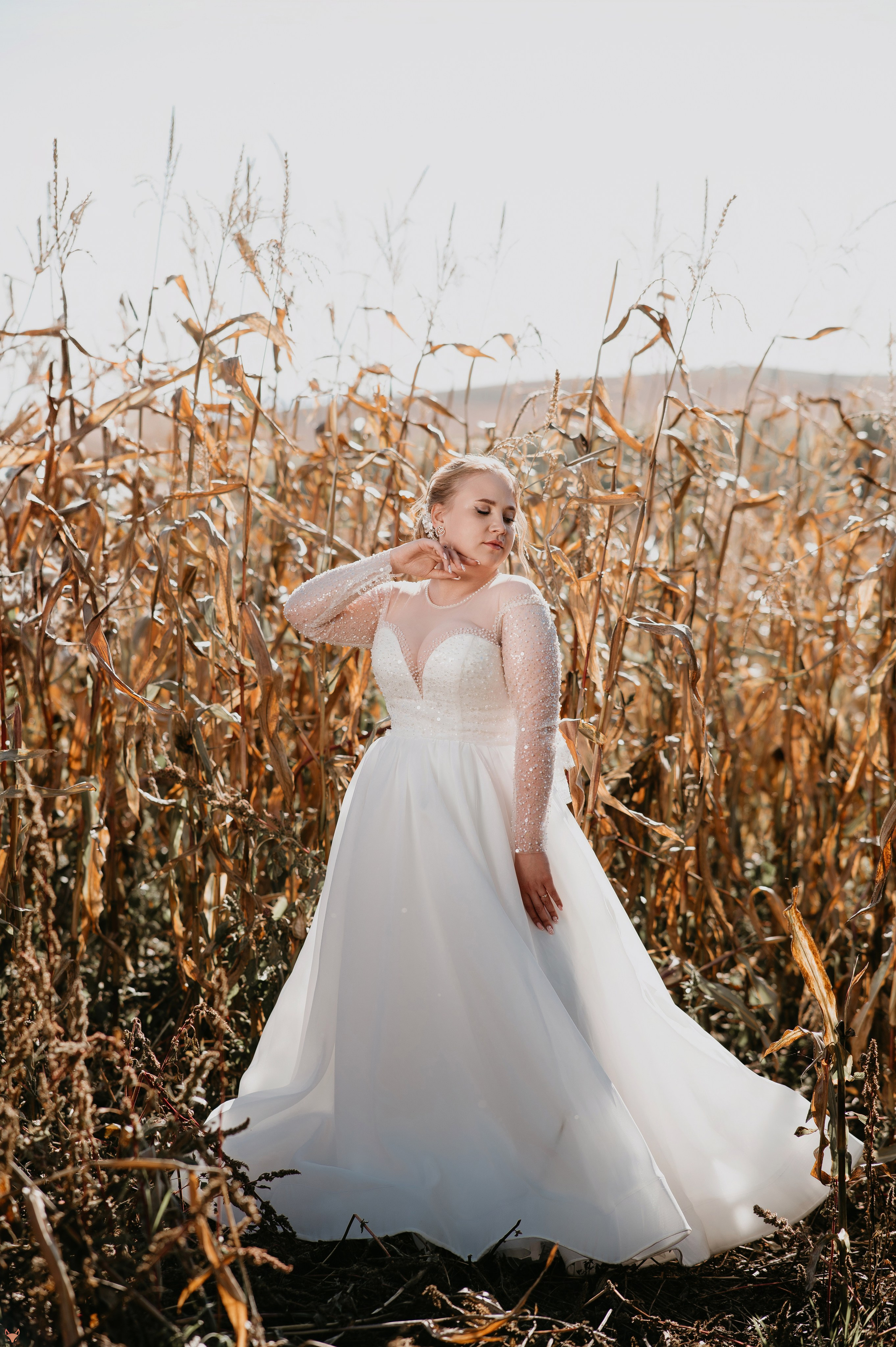 Wedding 20 09 24. Свадебный Фотограф Абакан