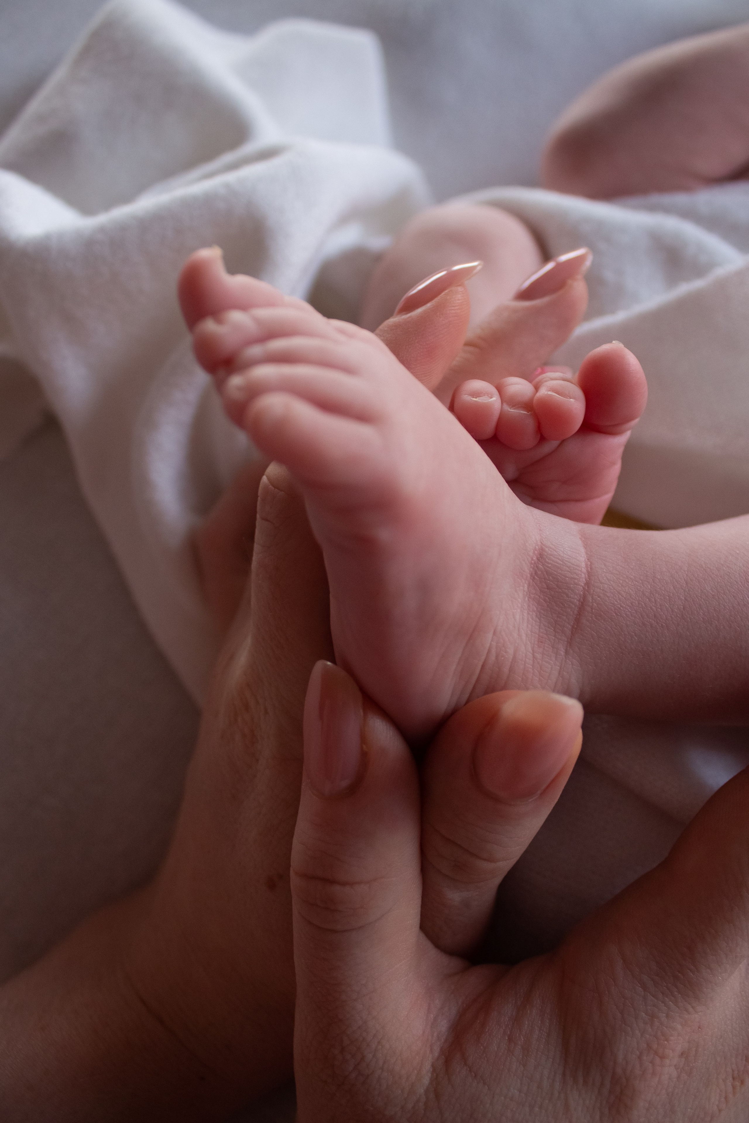 Newborn. Фотограф новорожденных Новосибирск