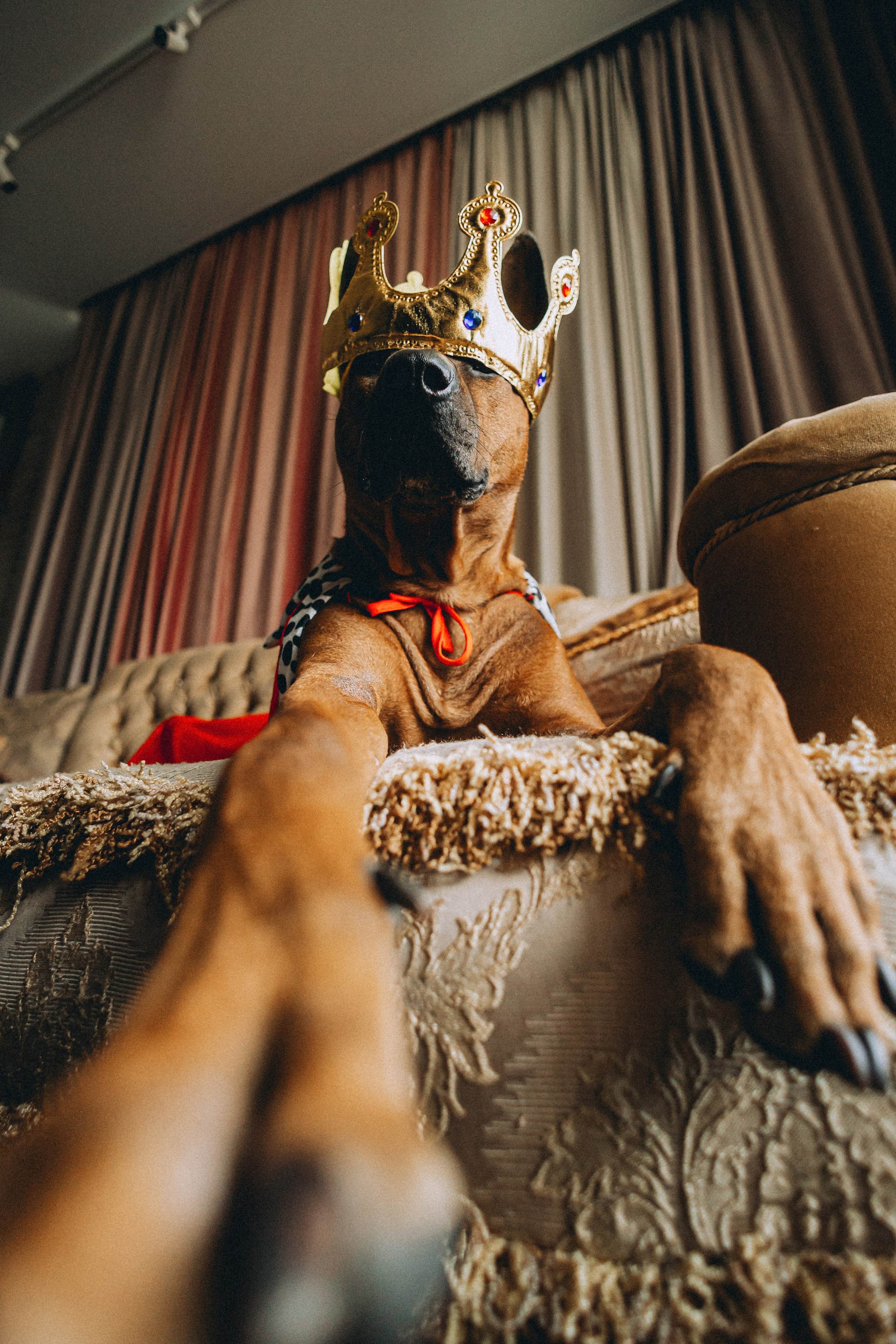 Оксана и Зевс