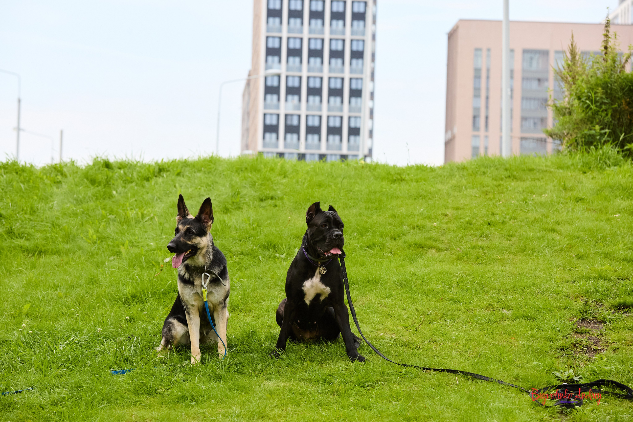 Проект фотопрогулка с хвостиком. Buyvolenko Andrey