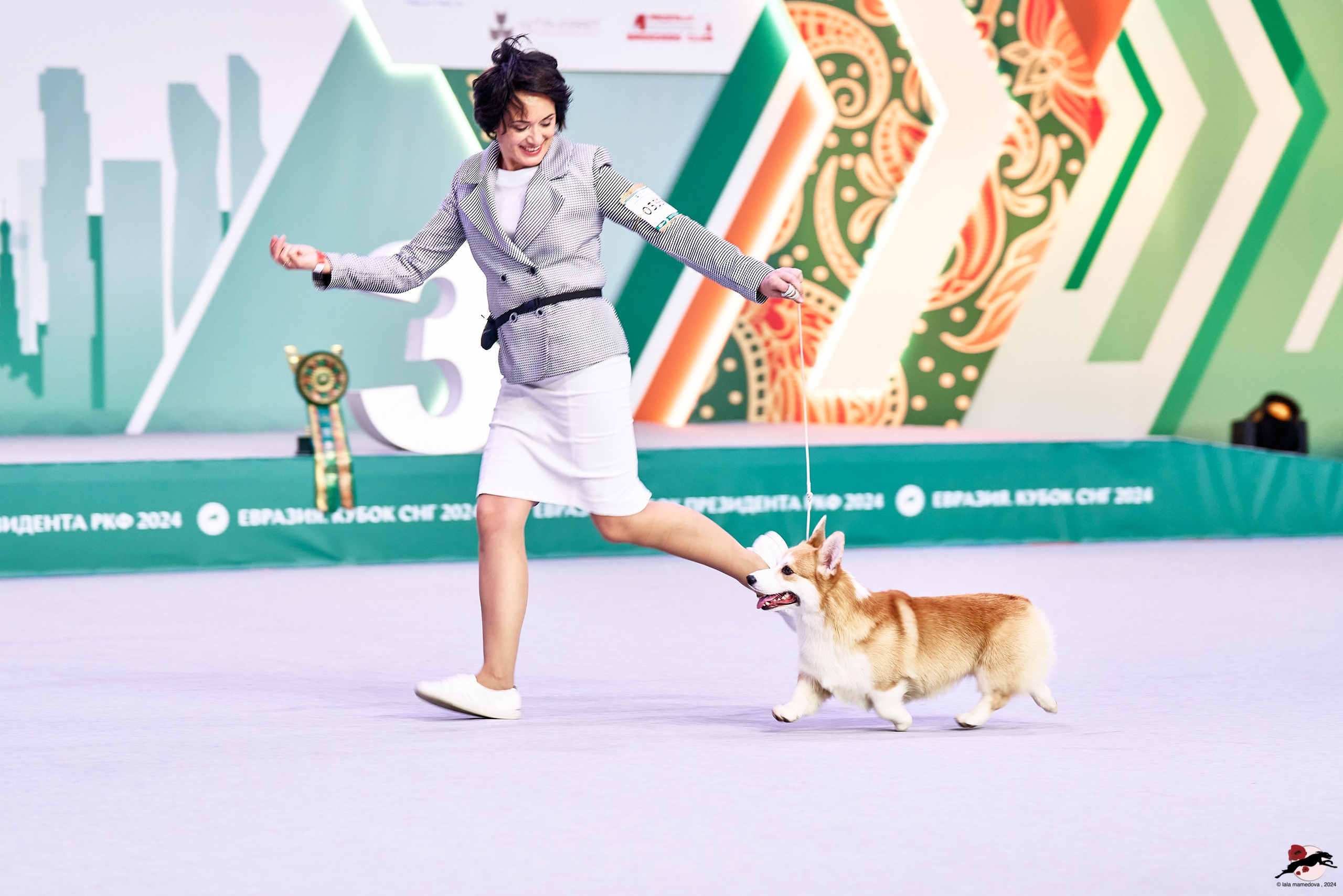 16.11.2024 «ЕВРАЗИЯ. КУБОК ПРЕЗИДЕНТА РКФ 2024»