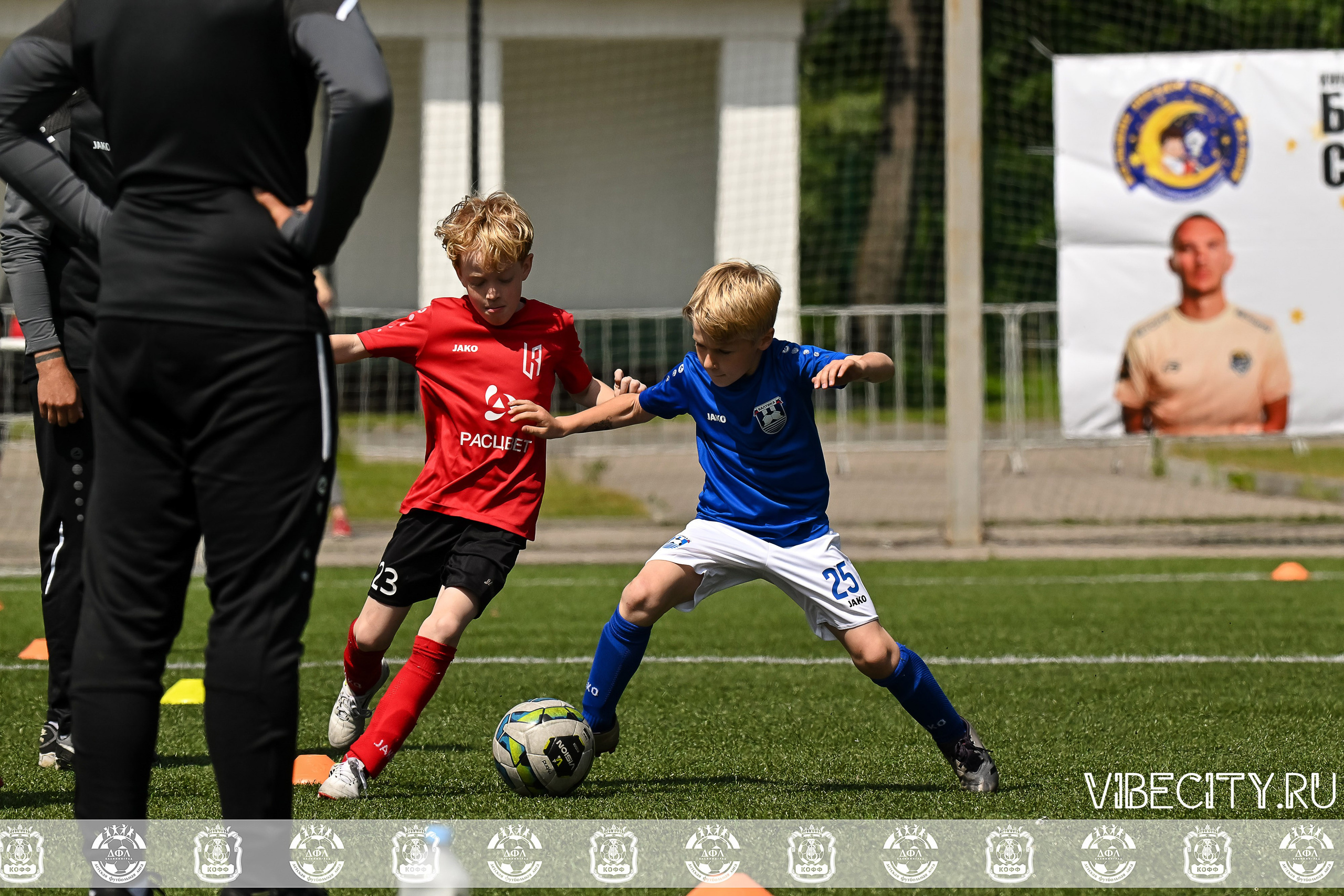 Большие Звезды светят Малым. VIBECITY.RU Вайб Сити Ру Фоторепортажи Фотоотчеты Калининград