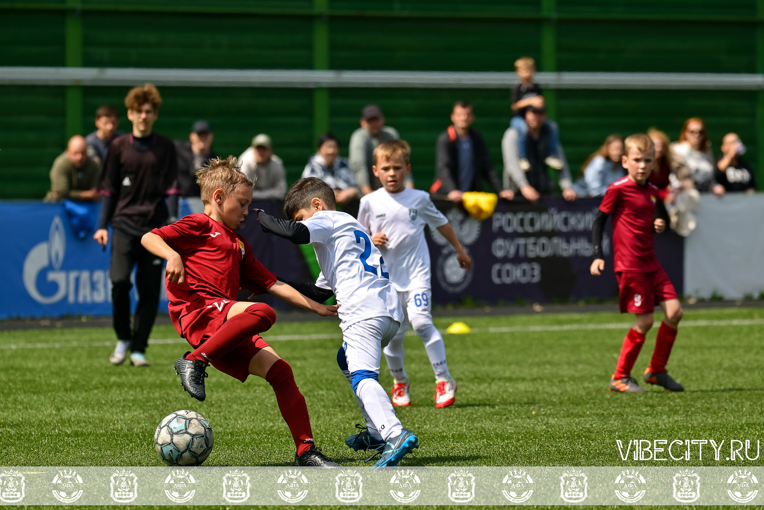 Большие Звезды светят Малым. VIBECITY.RU Вайб Сити Ру Фоторепортажи Фотоотчеты Калининград