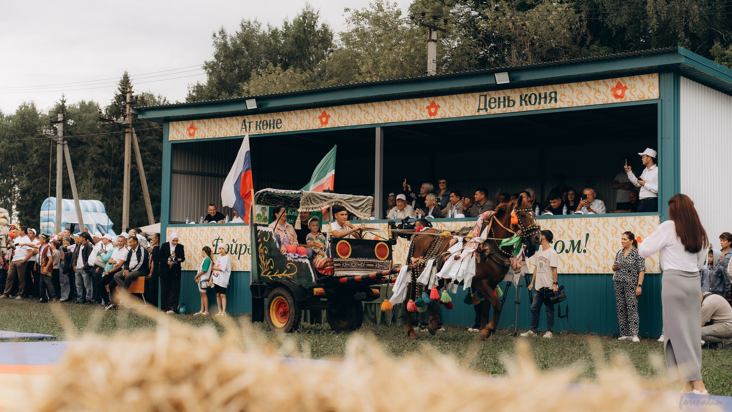 День Коня. Алиса Никитцова | Фотограф в Казани