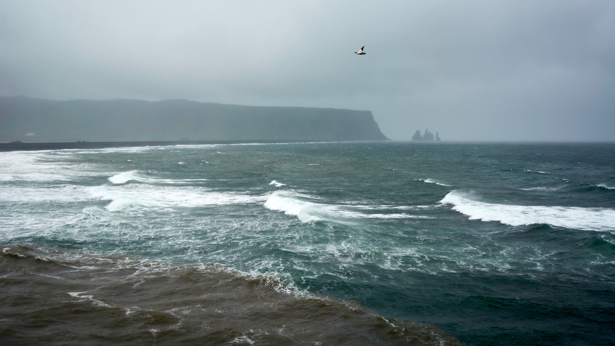 Черный пляж Рейнисфьяра. Алексей Попов