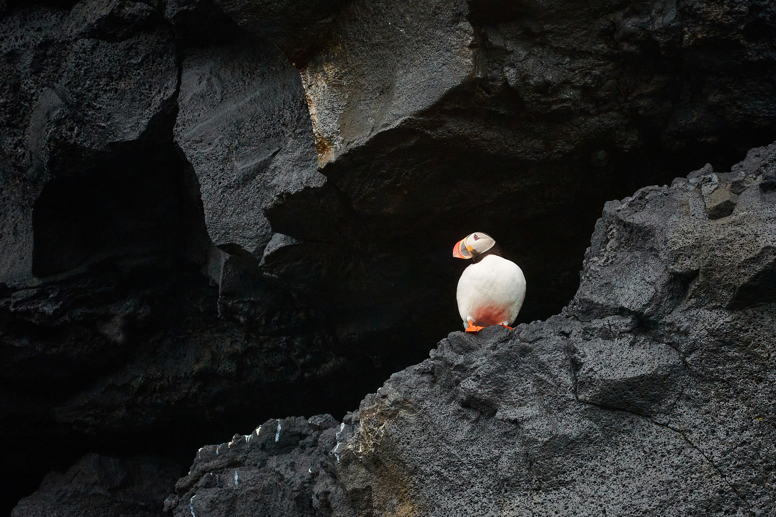 Черный пляж Рейнисфьяра. Алексей Попов