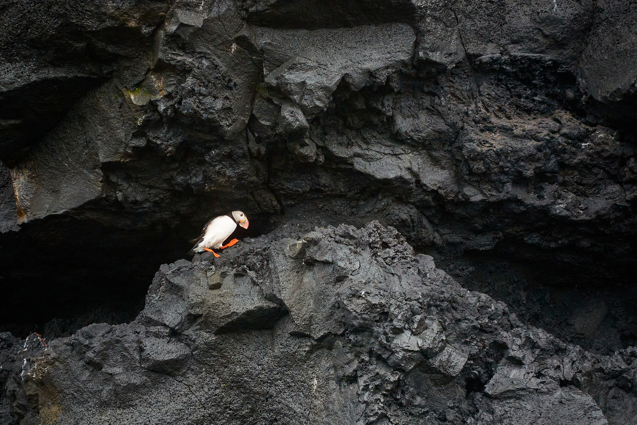 Черный пляж Рейнисфьяра. Алексей Попов