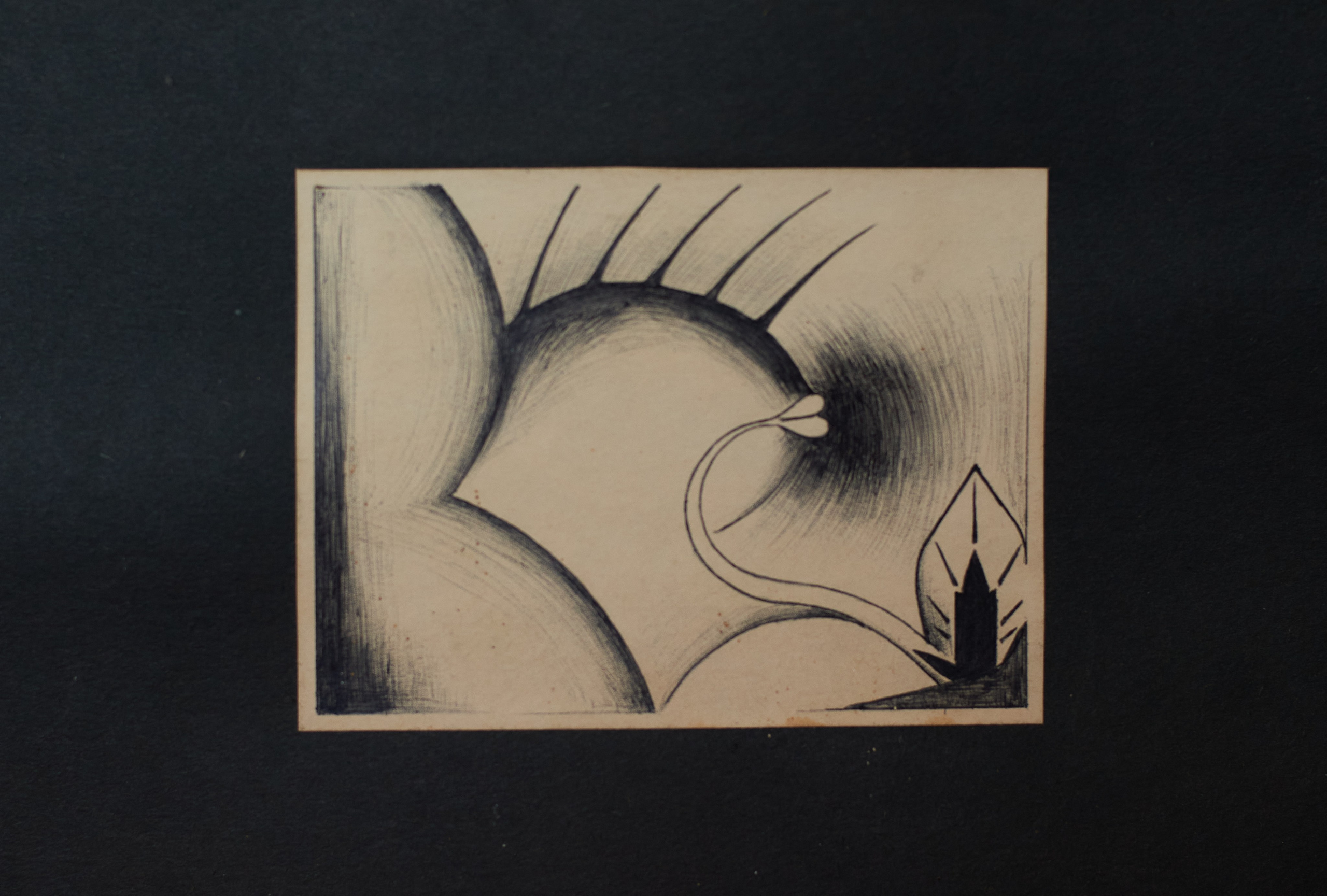 Модули. Olitron Legacy