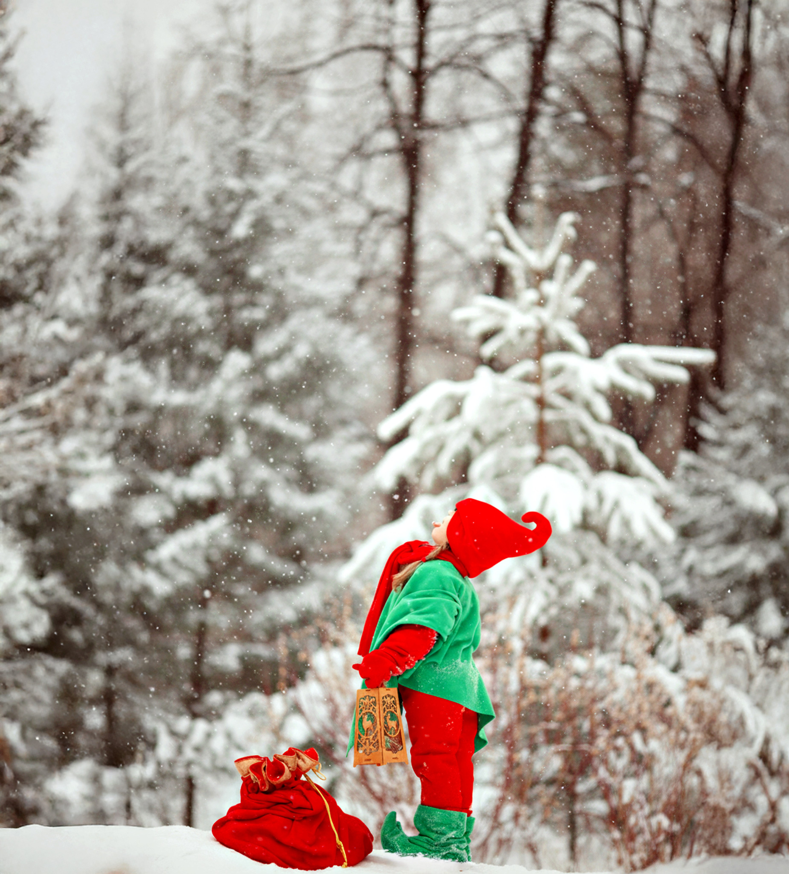 Новогодние гномики. Семейный, свадебный и детский фотограф в Новосибирске Ольга Хидченко