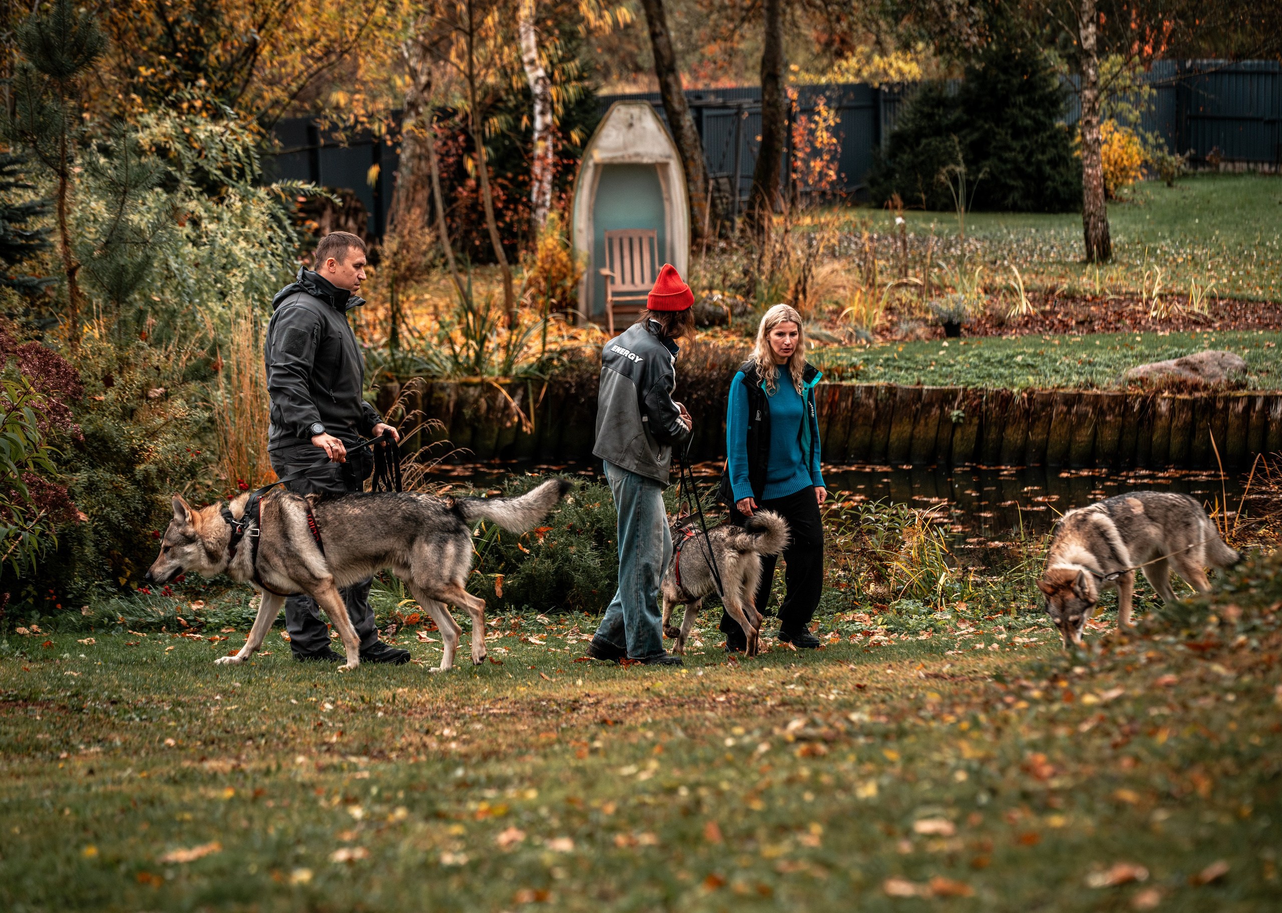 ФОТОПАМЯТЬ ВАШИХ ЭМОЦИЙ. Фотограф-анималист, семейный фотограф в Москве и Подмосковье. Фотосъёмка кинологических дисциплин