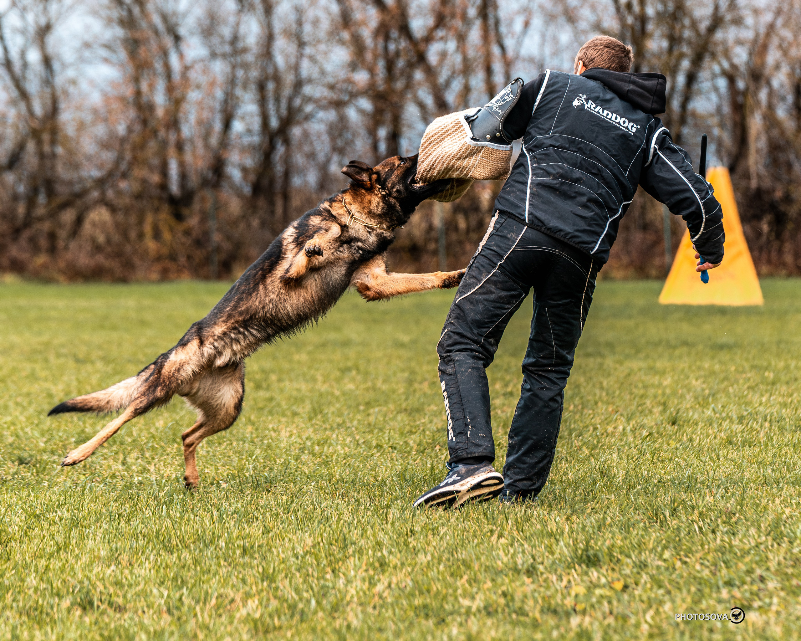 МЫ — КОМАНДА (соревнования) OKD, BH, IBGH, IGP. Фотограф-анималист, семейный фотограф в Москве и Подмосковье. Фотосъёмка кинологических дисциплин