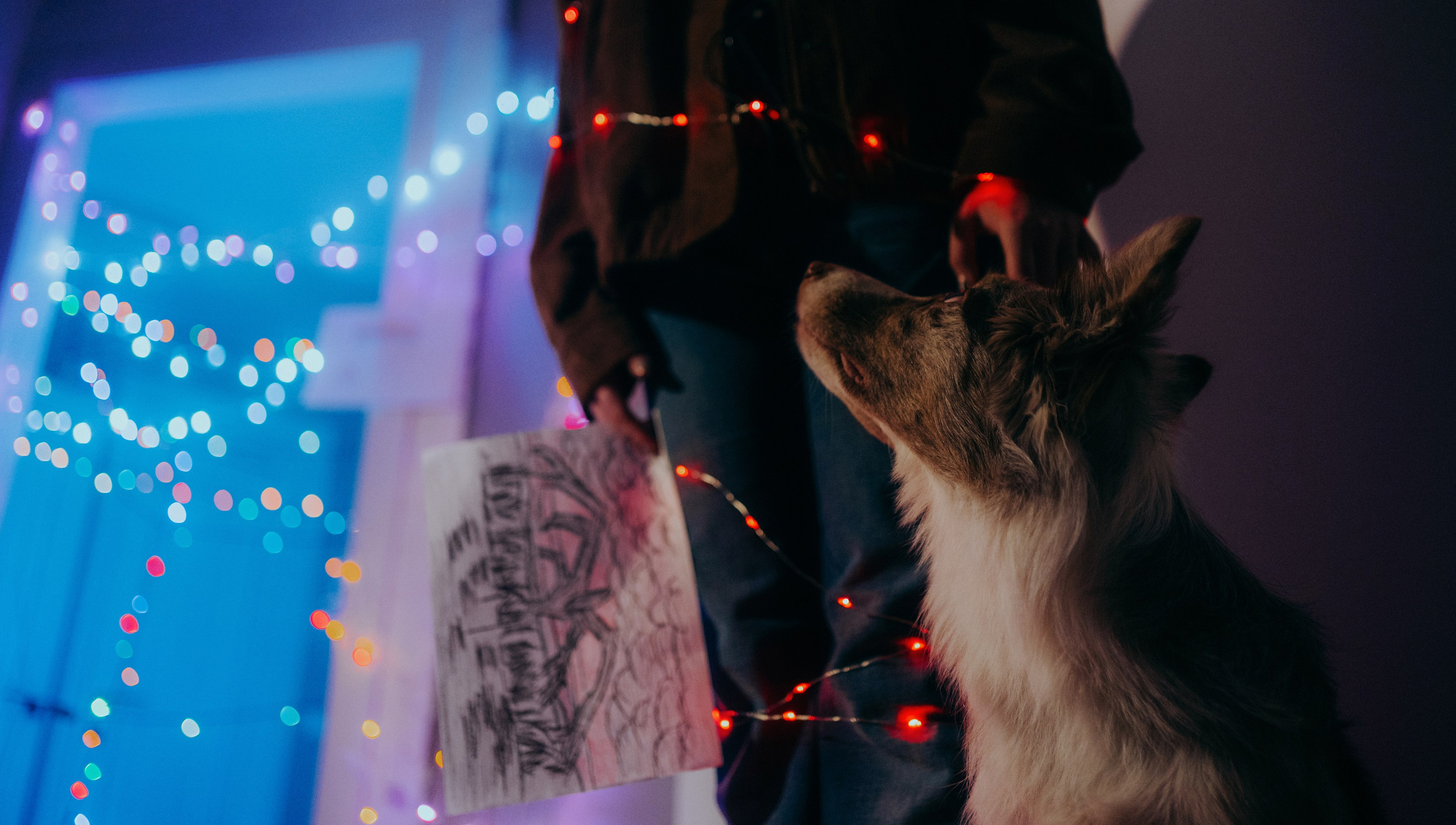 Аня и Дэймон. Фотограф-анималист Богданова Полина