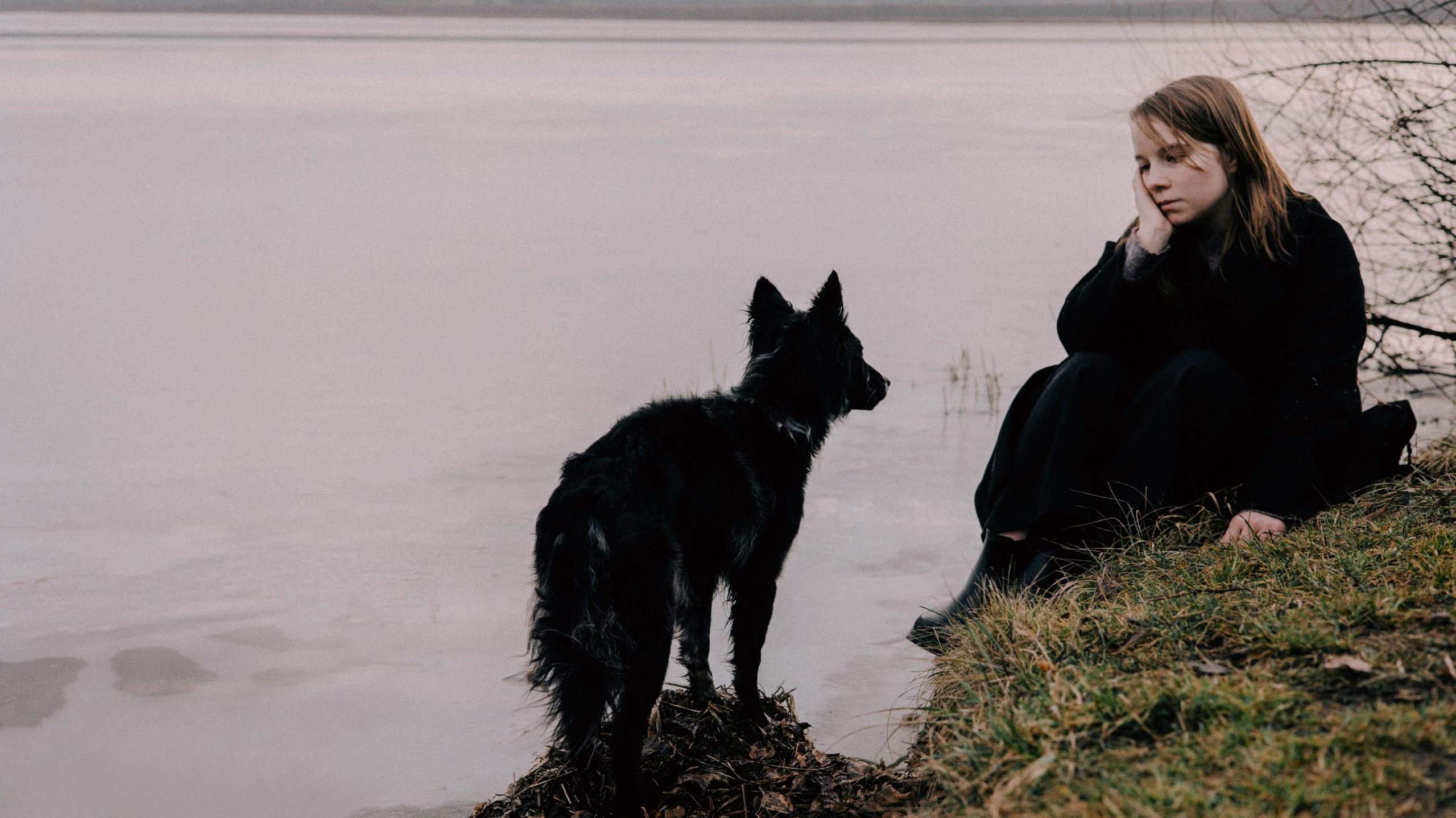 Полина и Сейви. Фотограф-анималист Богданова Полина
