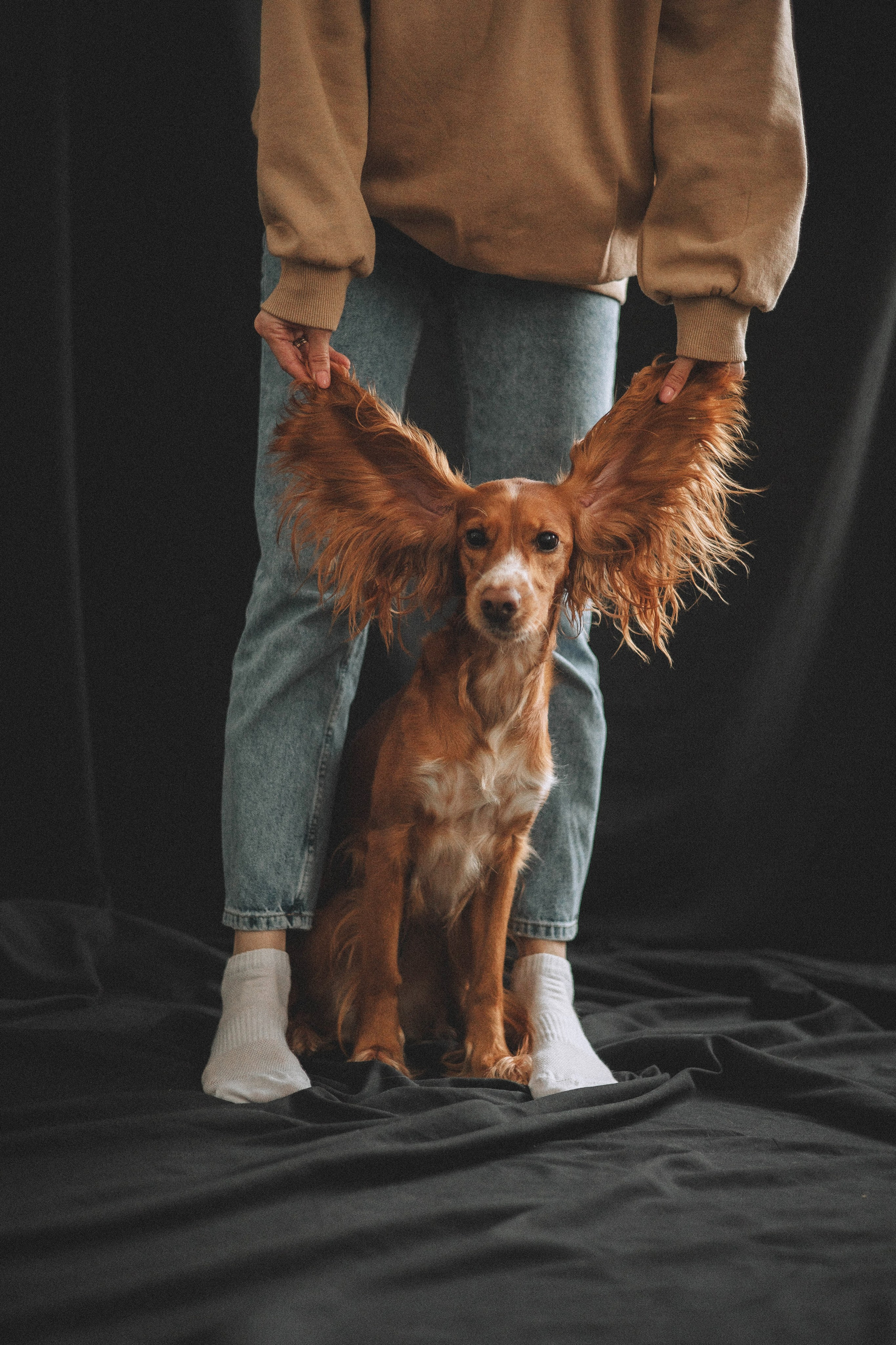 Алина и Дженни. Фотограф-анималист Богданова Полина