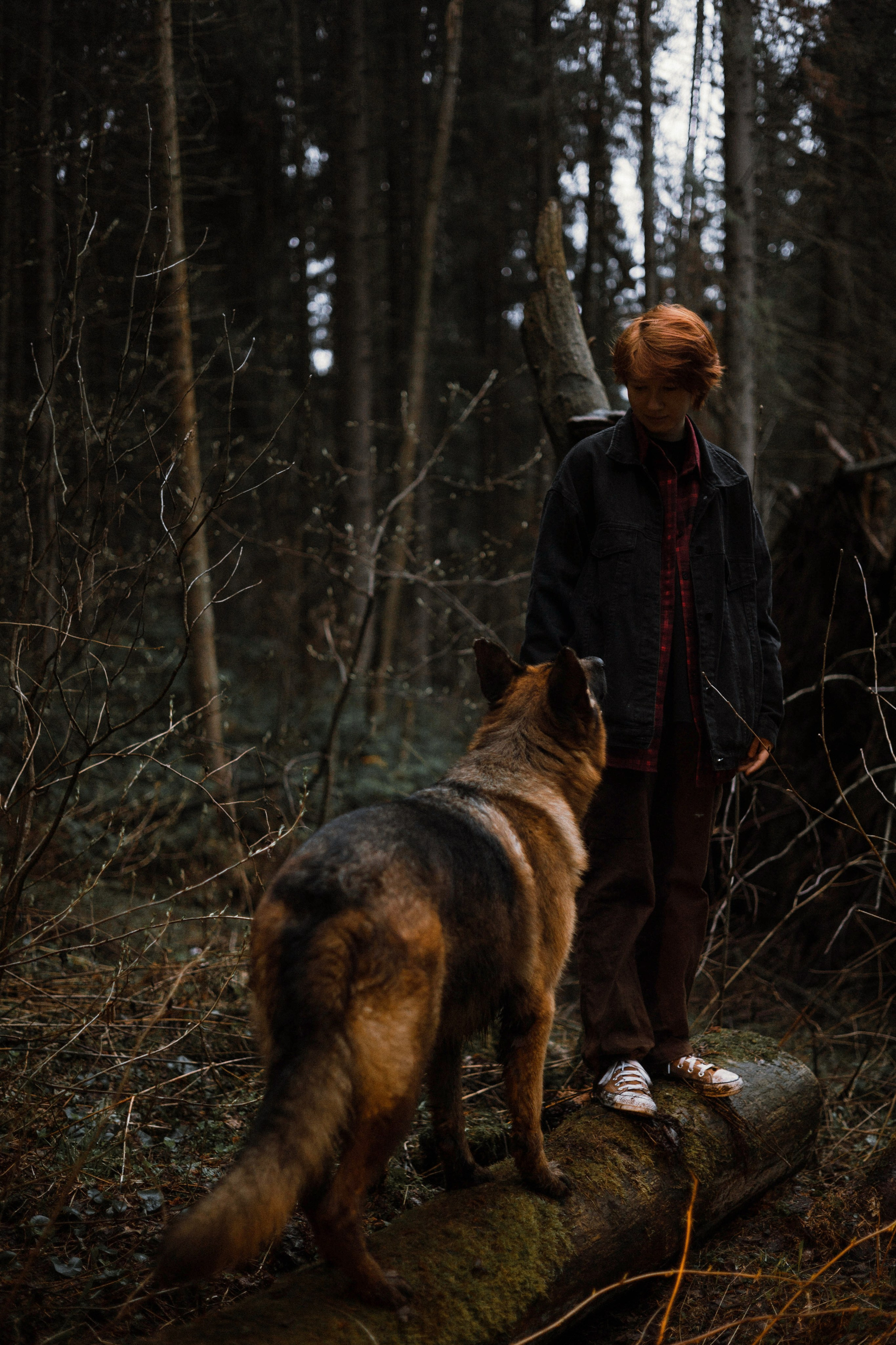 Лера и Ральф. Фотограф-анималист Богданова Полина