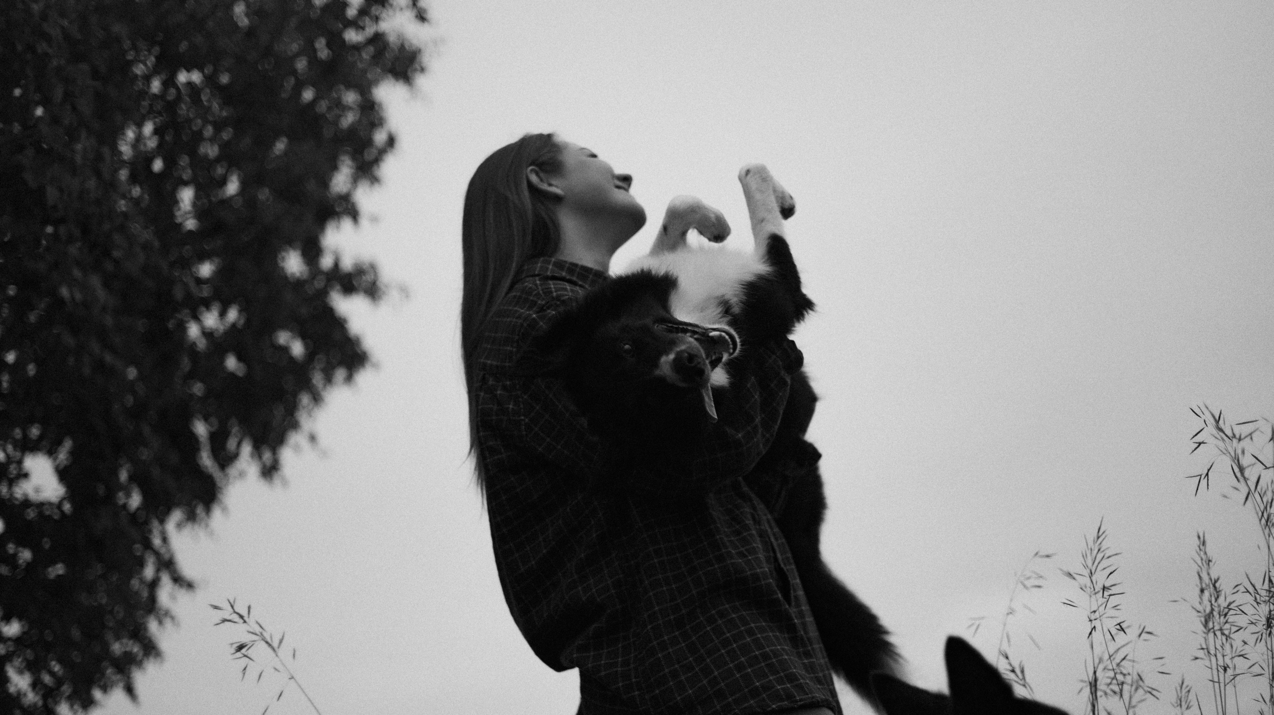 Аделя, Вандер, Шайна и Бая. Фотограф-анималист Богданова Полина