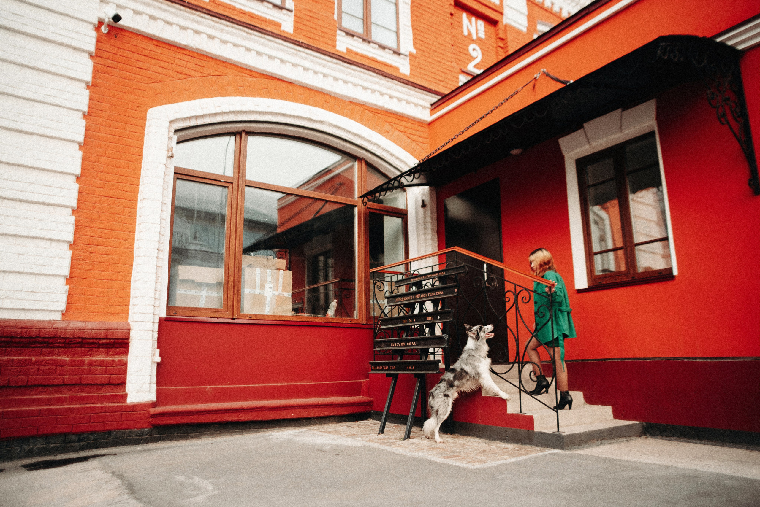 Диана и Робин. Фотограф-анималист Богданова Полина