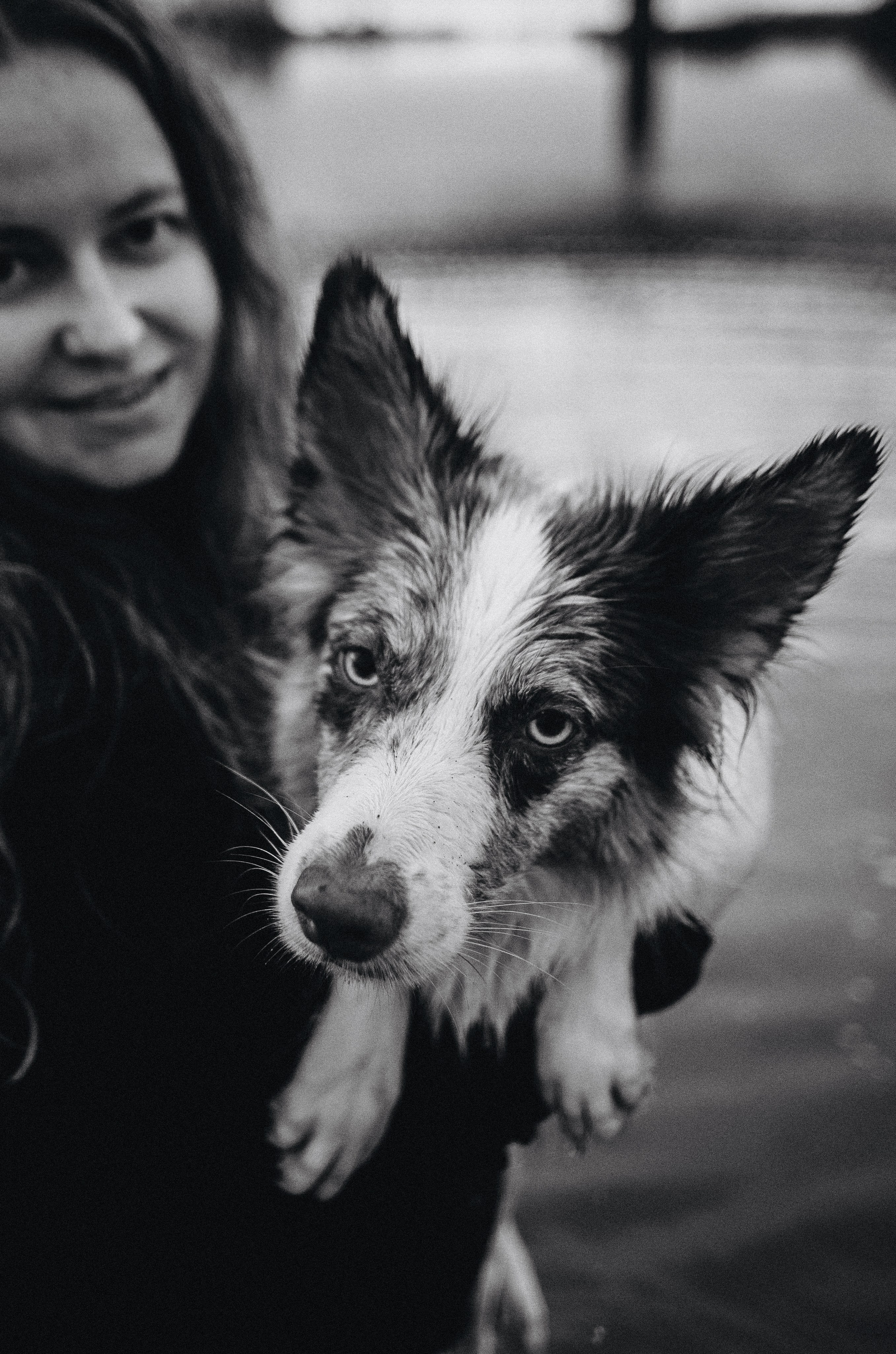 Алина и Бруна. Фотограф-анималист Богданова Полина