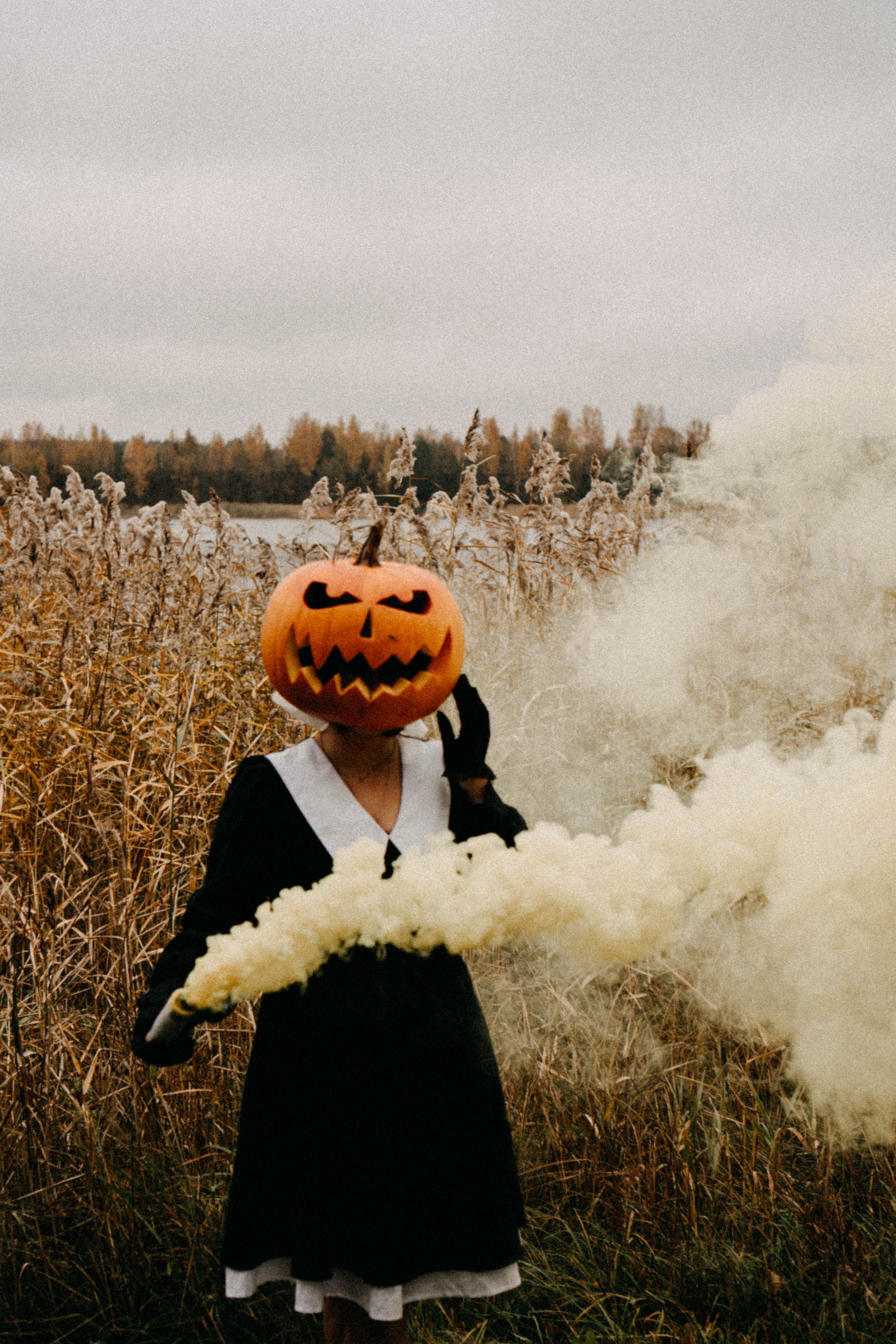 Осеняя. Профессиональный фотограф, Санкт-Петербург — Виктория Богомолова