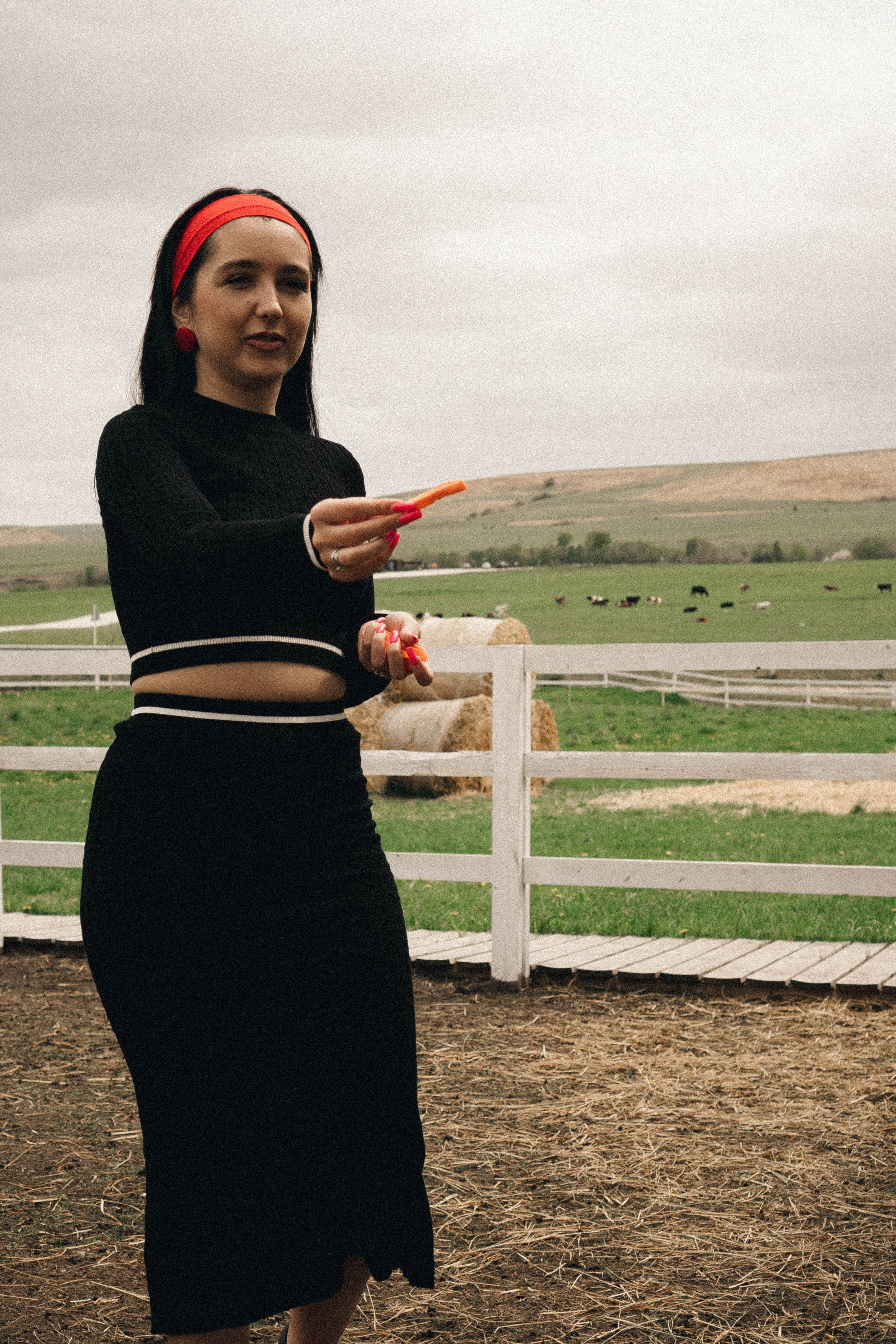 Ферма Альпак. Профессиональный фотограф, Санкт-Петербург — Виктория Богомолова