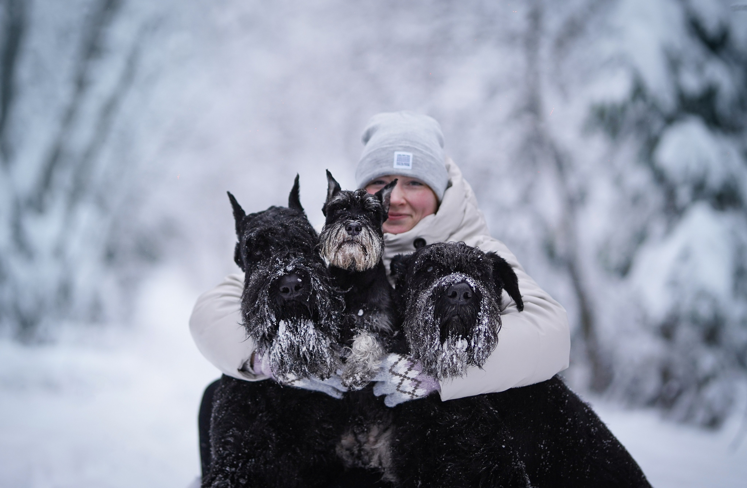Оля Миша и шнауцеры. Фотограф-анималист в Санкт-Петербурге Яна Мартынова